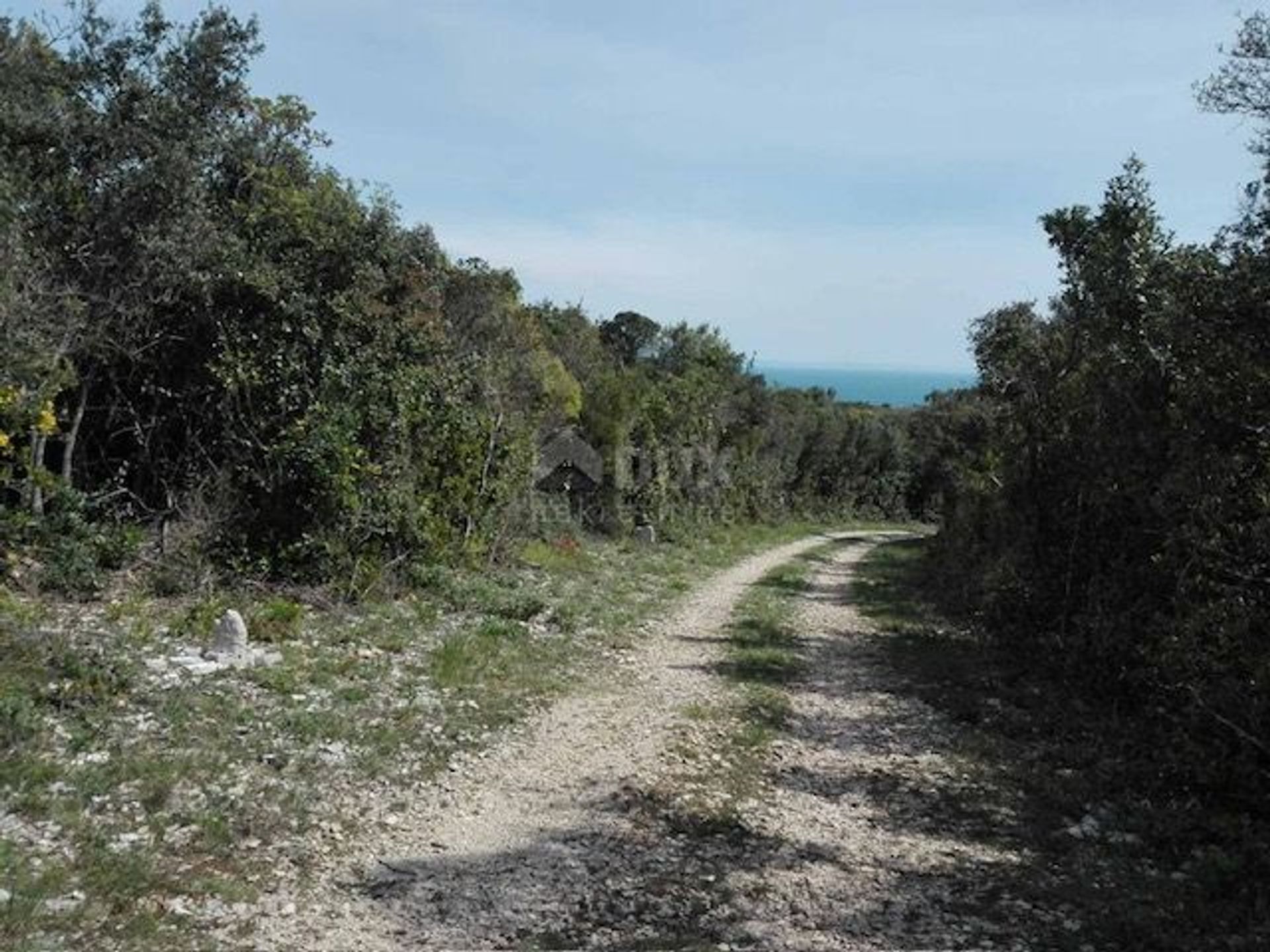 Terre dans Rakalj, Istria County 12728161