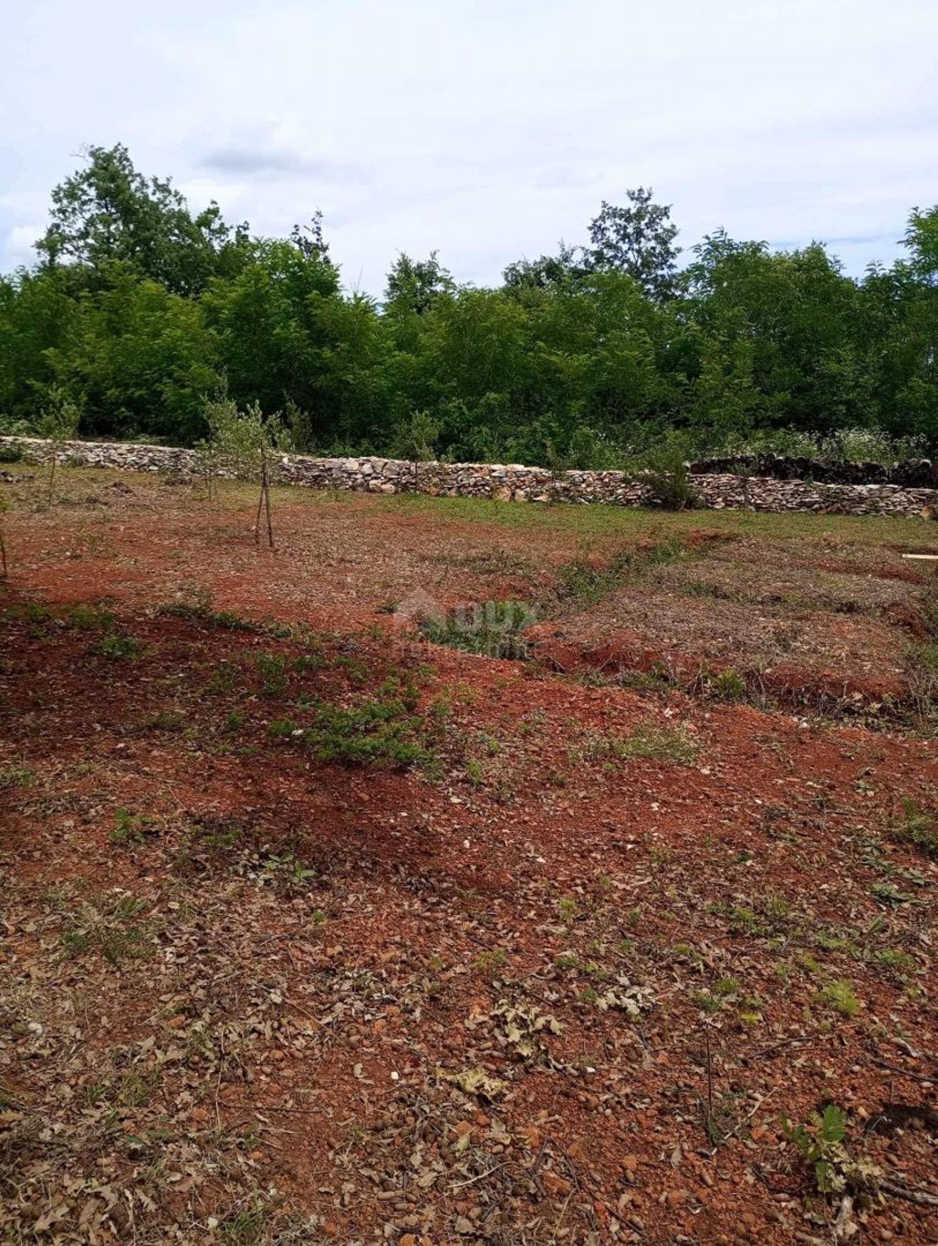 Land in Divšići, Istarska županija 12728191