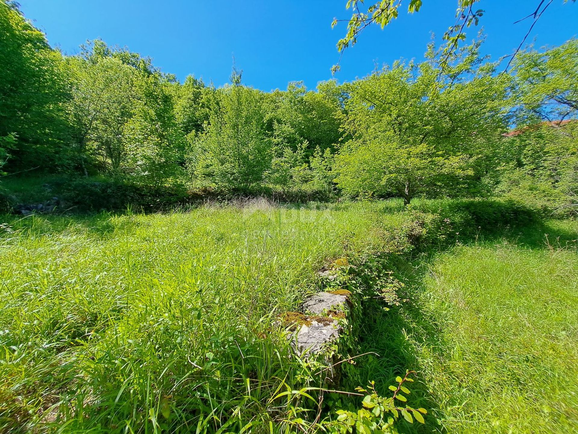 Sbarcare nel Abbazia, Zupanija Primorsko-Goranska 12730065