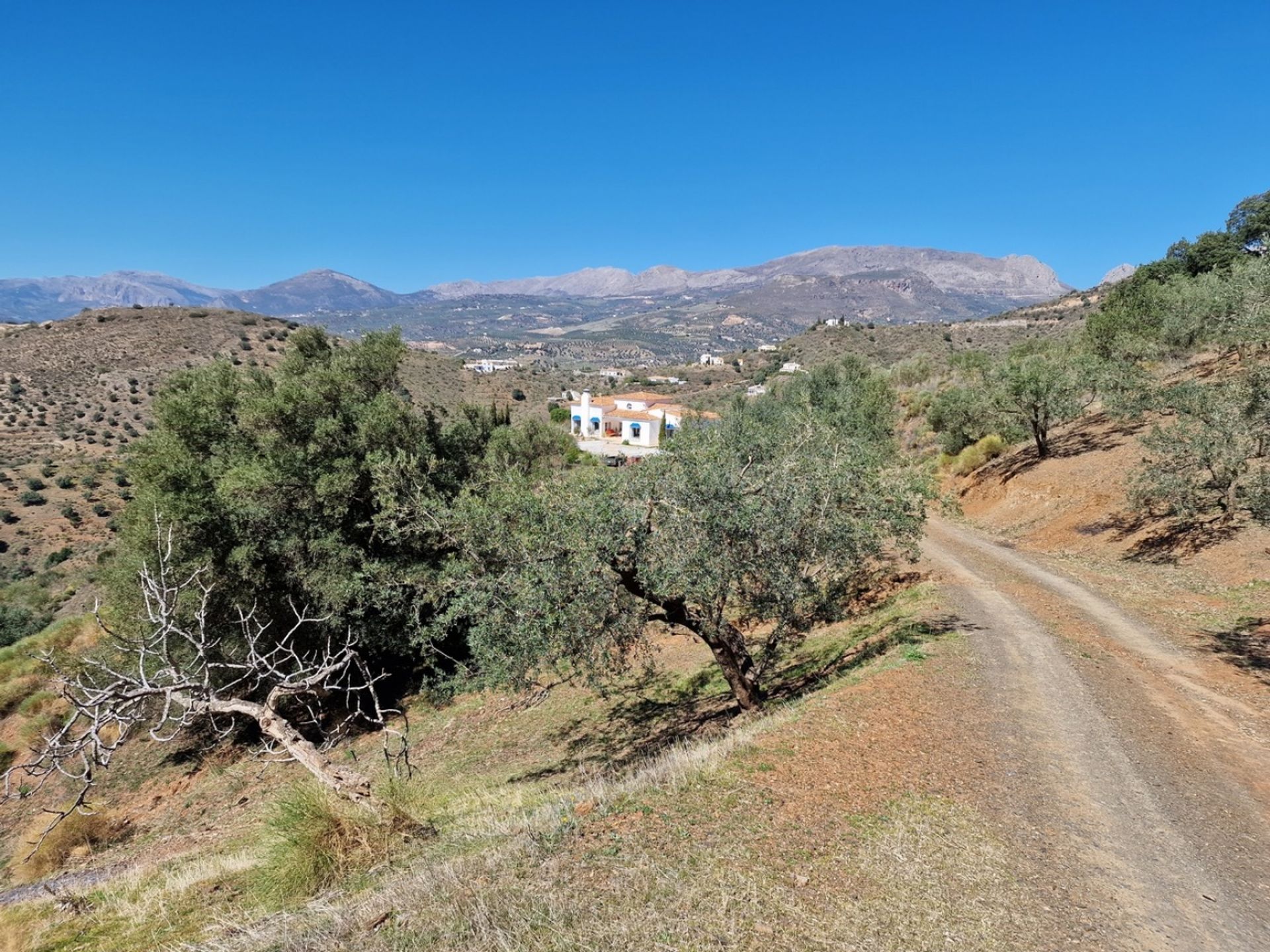 房子 在 Canillas de Aceituno, Andalucía 12730561