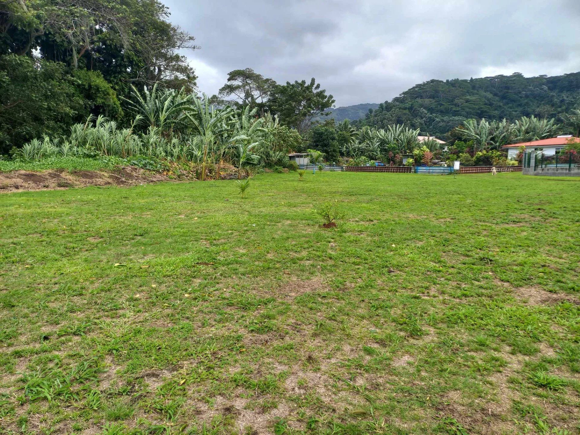 Terra no Tohautu, Îles du Vent 12730680