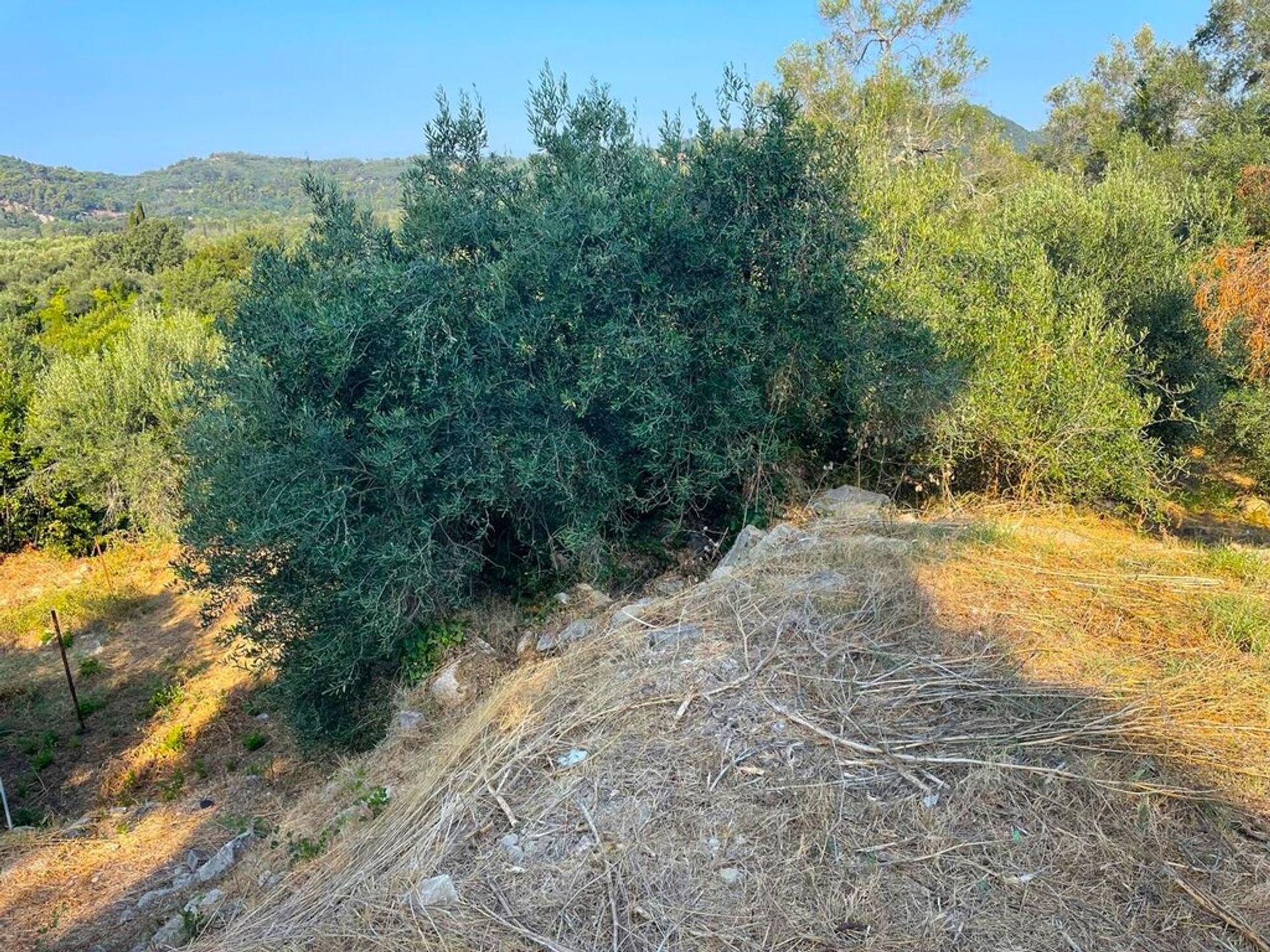 Land in Bastouni, Ionië Nisia 12730850