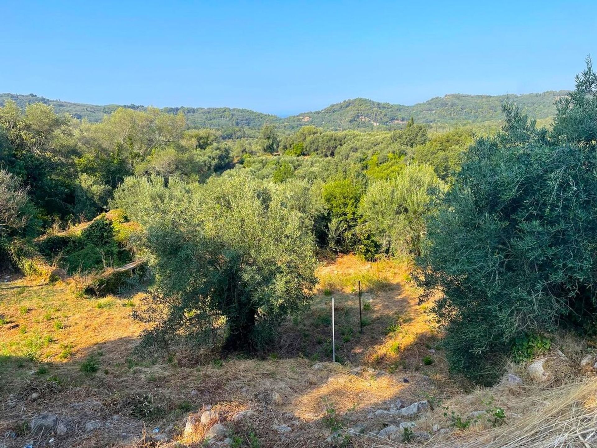 Land in Bastouni, Ionië Nisia 12730850