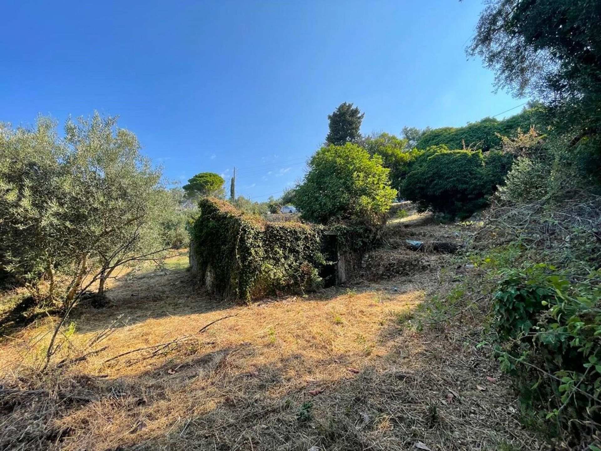 Land in Bastouni, Ionië Nisia 12730850