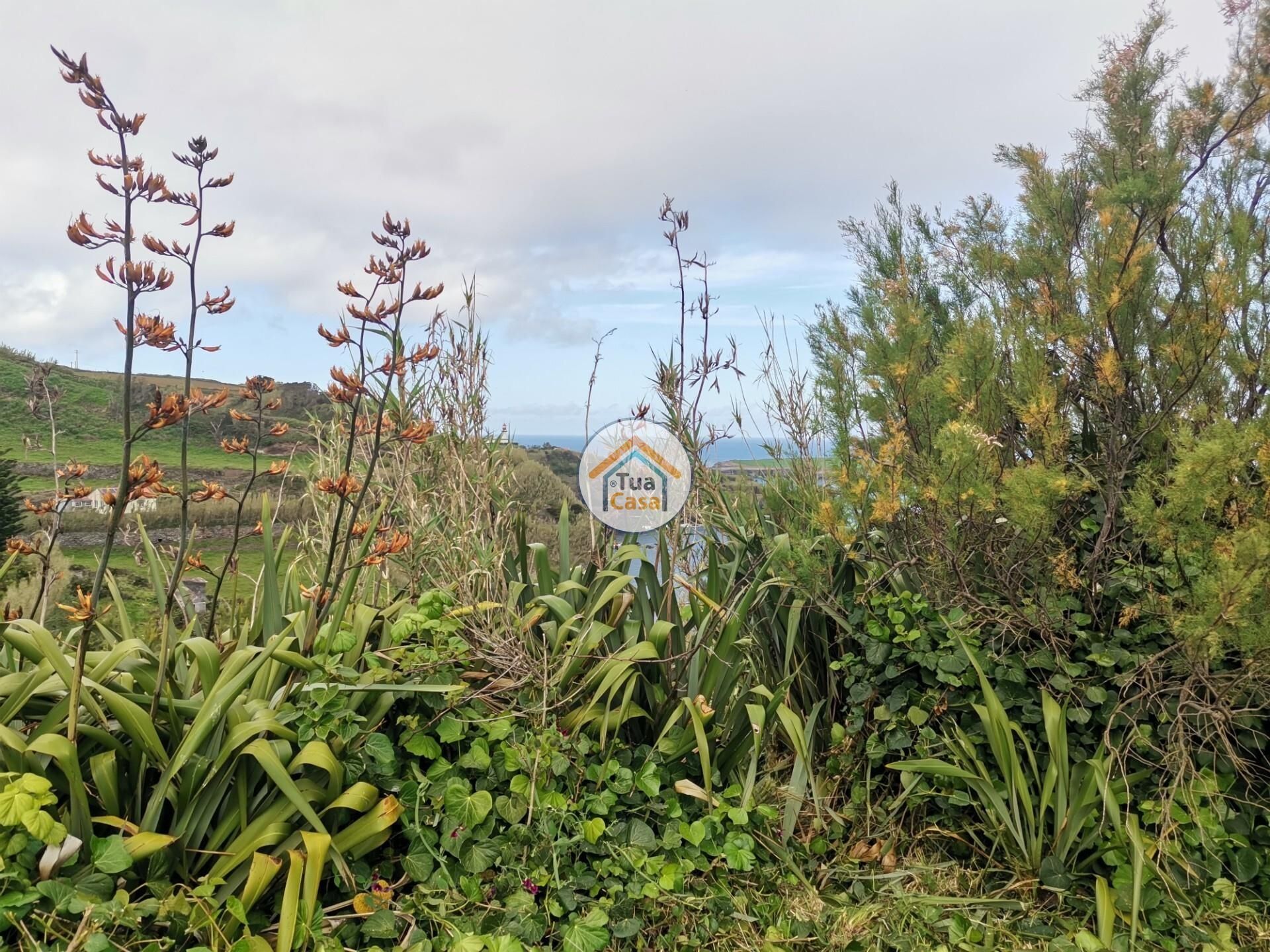 Земля в Calheta, Azores 12730916