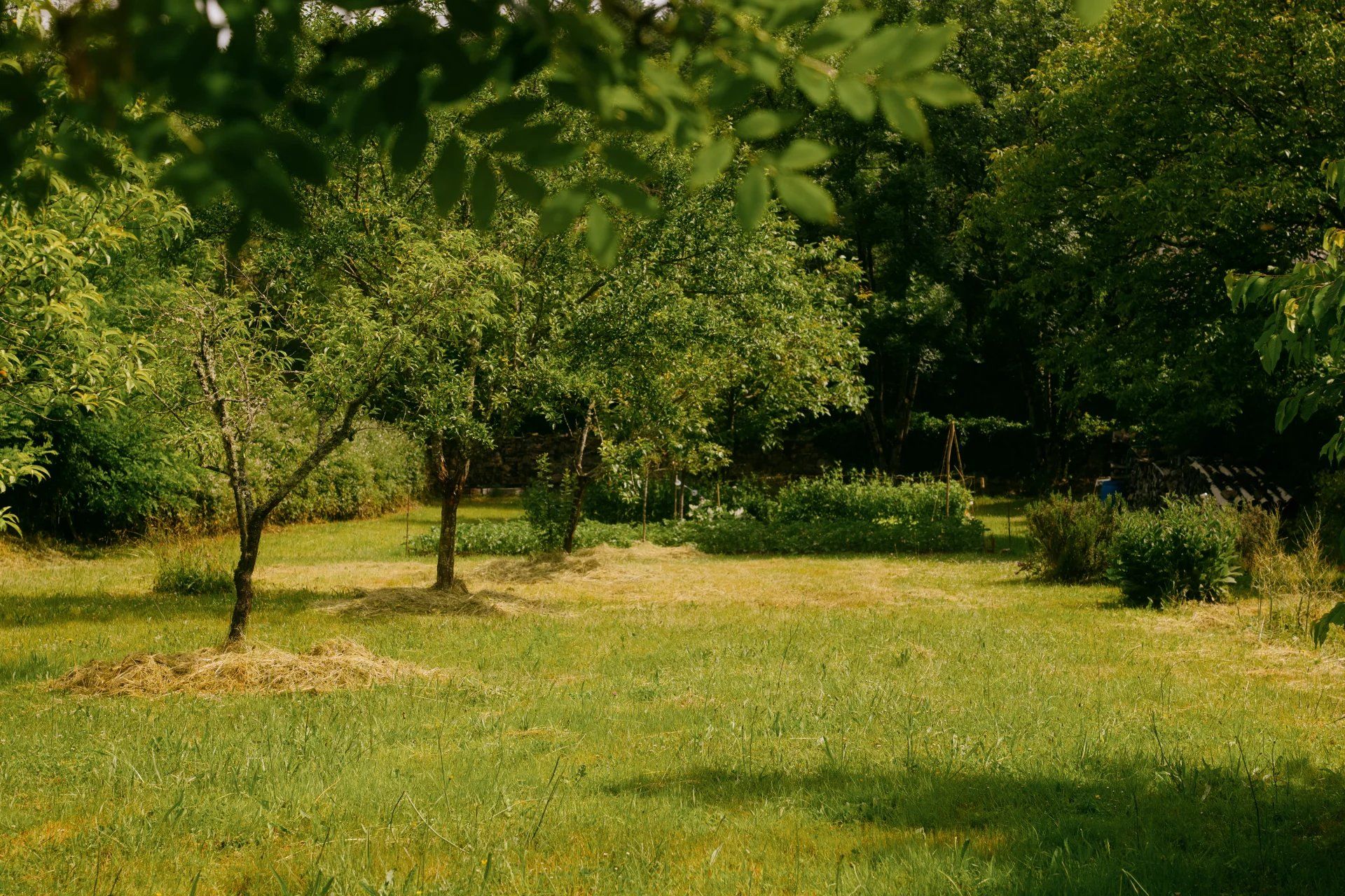 Annen i Mouron-sur-Yonne, Nièvre 12731330