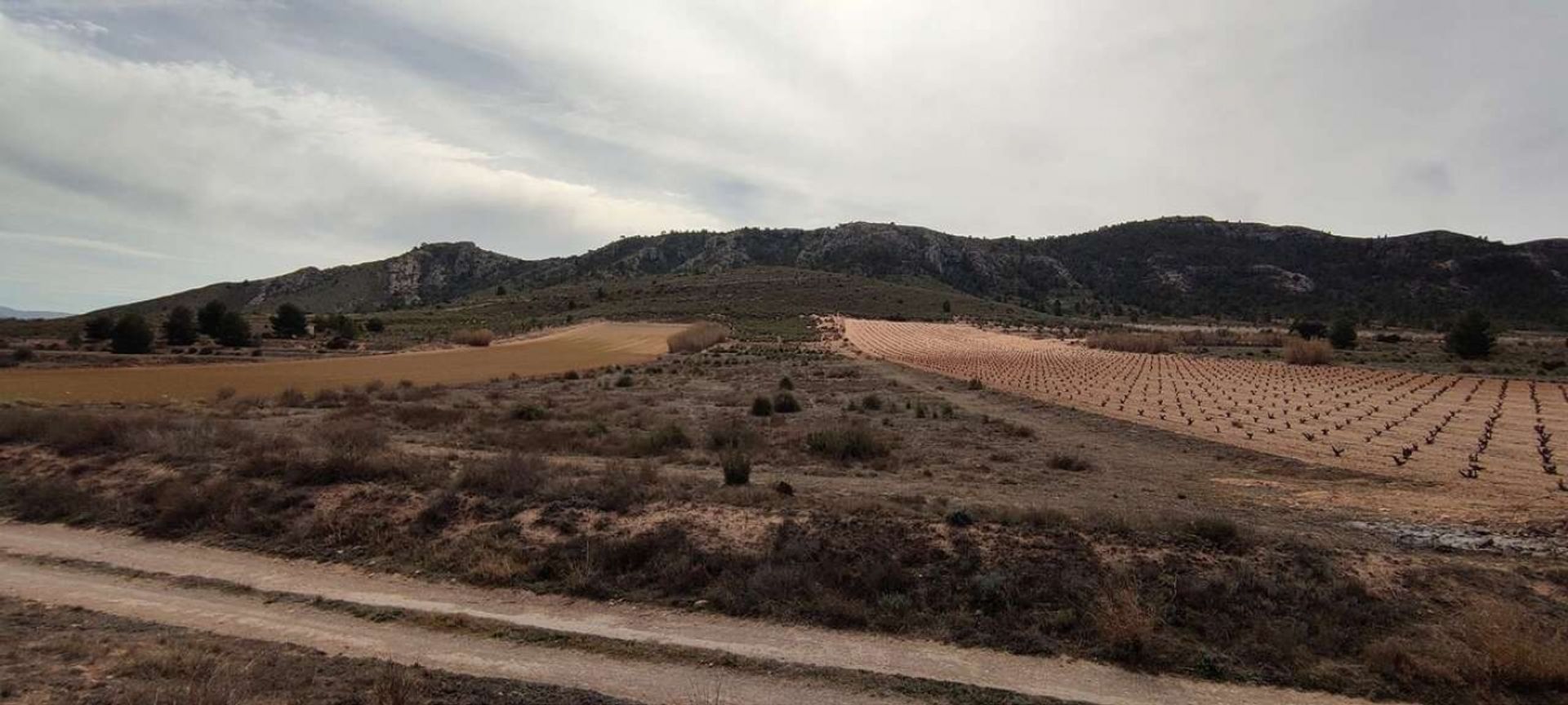 Hus i Villena, Comunidad Valenciana 12731792