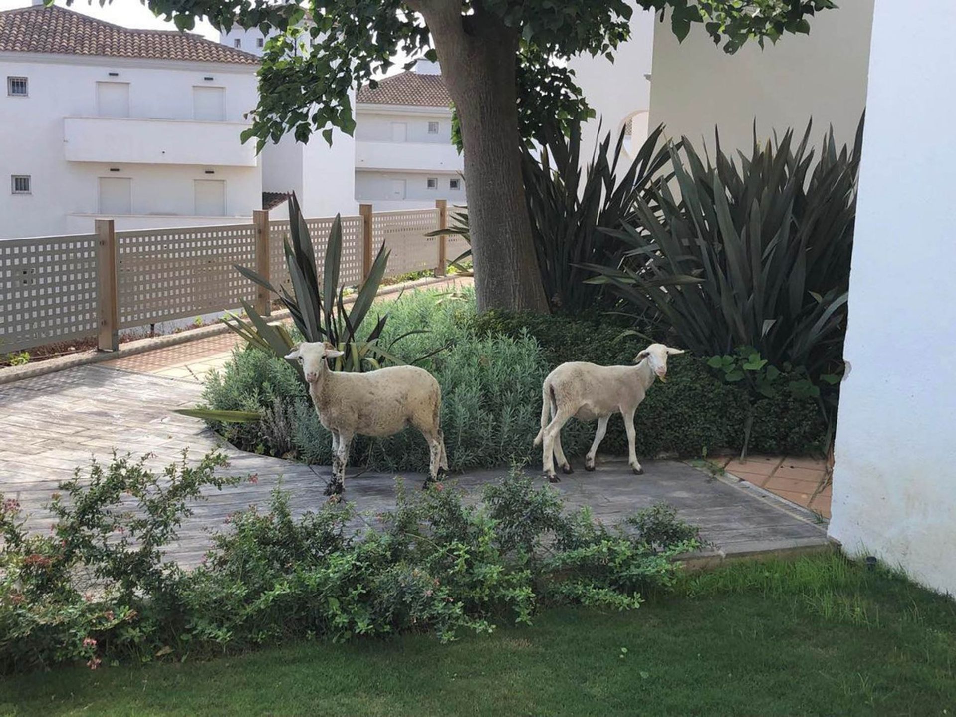 Condominium in Torremolinos, Andalucía 12732677