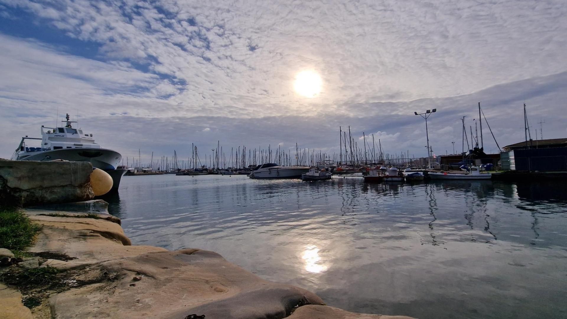 Hus i La Mata, Comunidad Valenciana 12732815