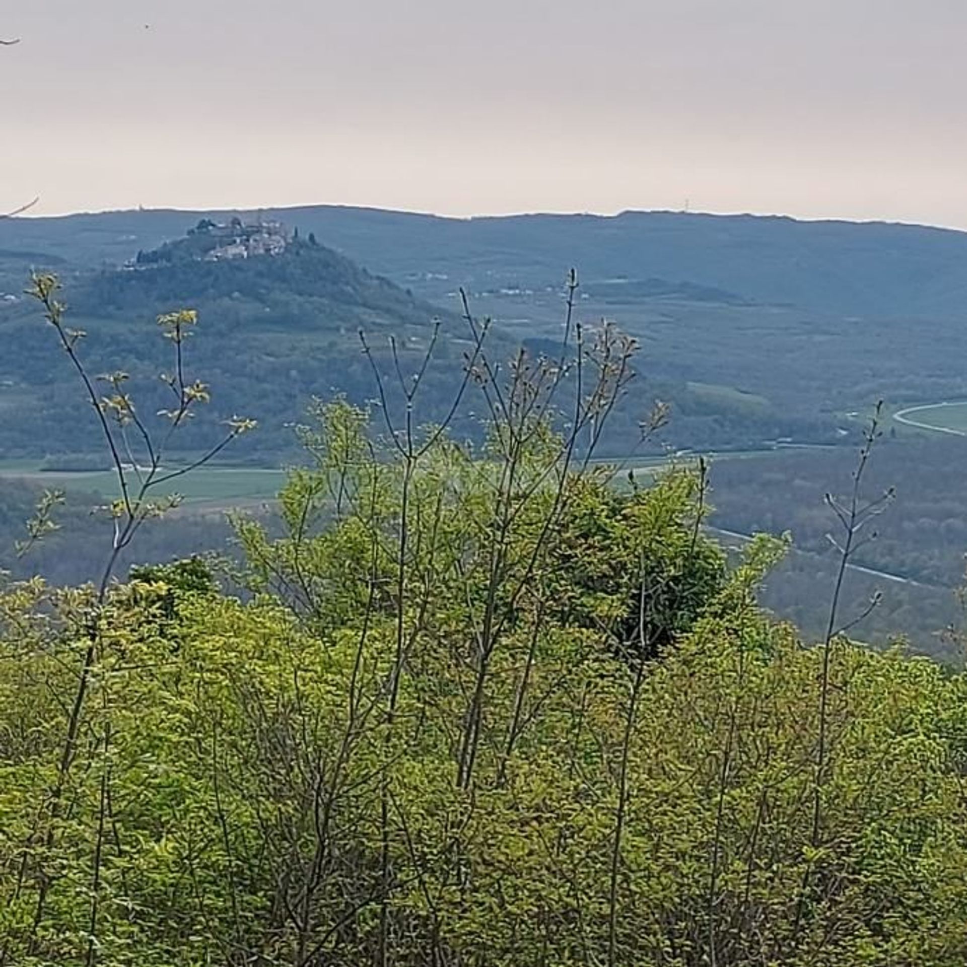 Γη σε Motovun, Istarska Zupanija 12733304