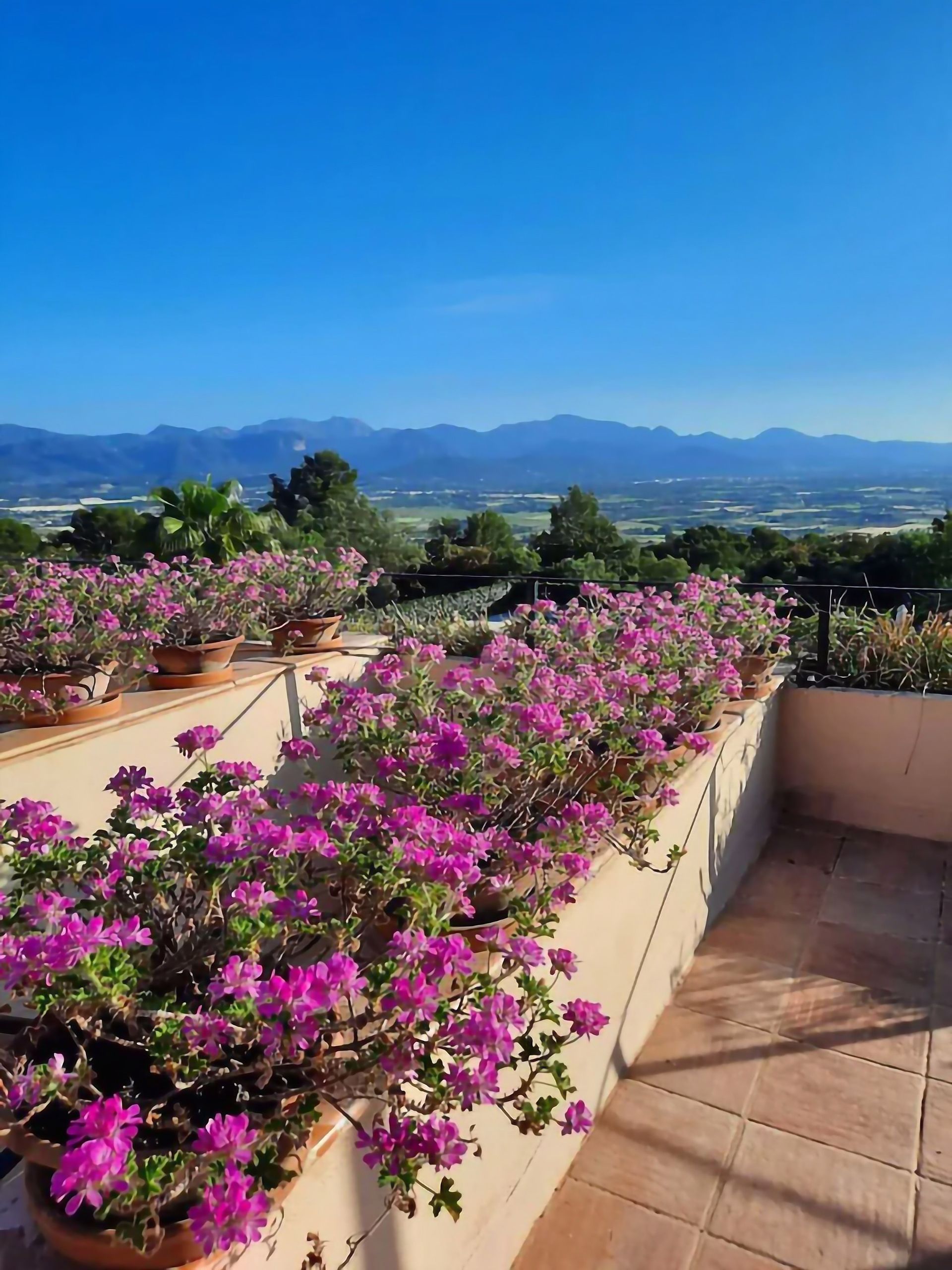 House in Santa Eugènia, Balearic Islands 12733890