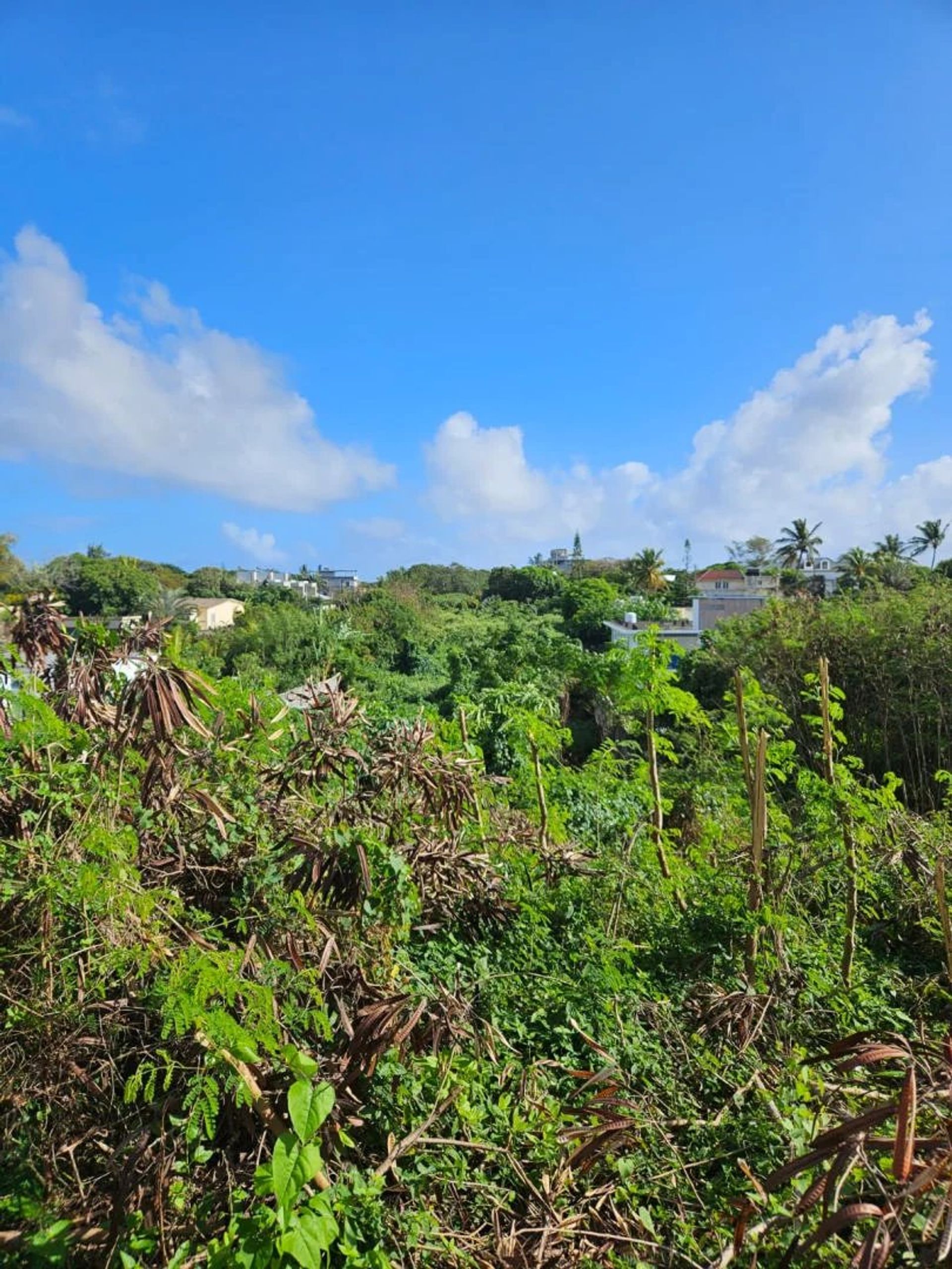 Tierra en Saint Francois, Rivière du Rempart 12734810