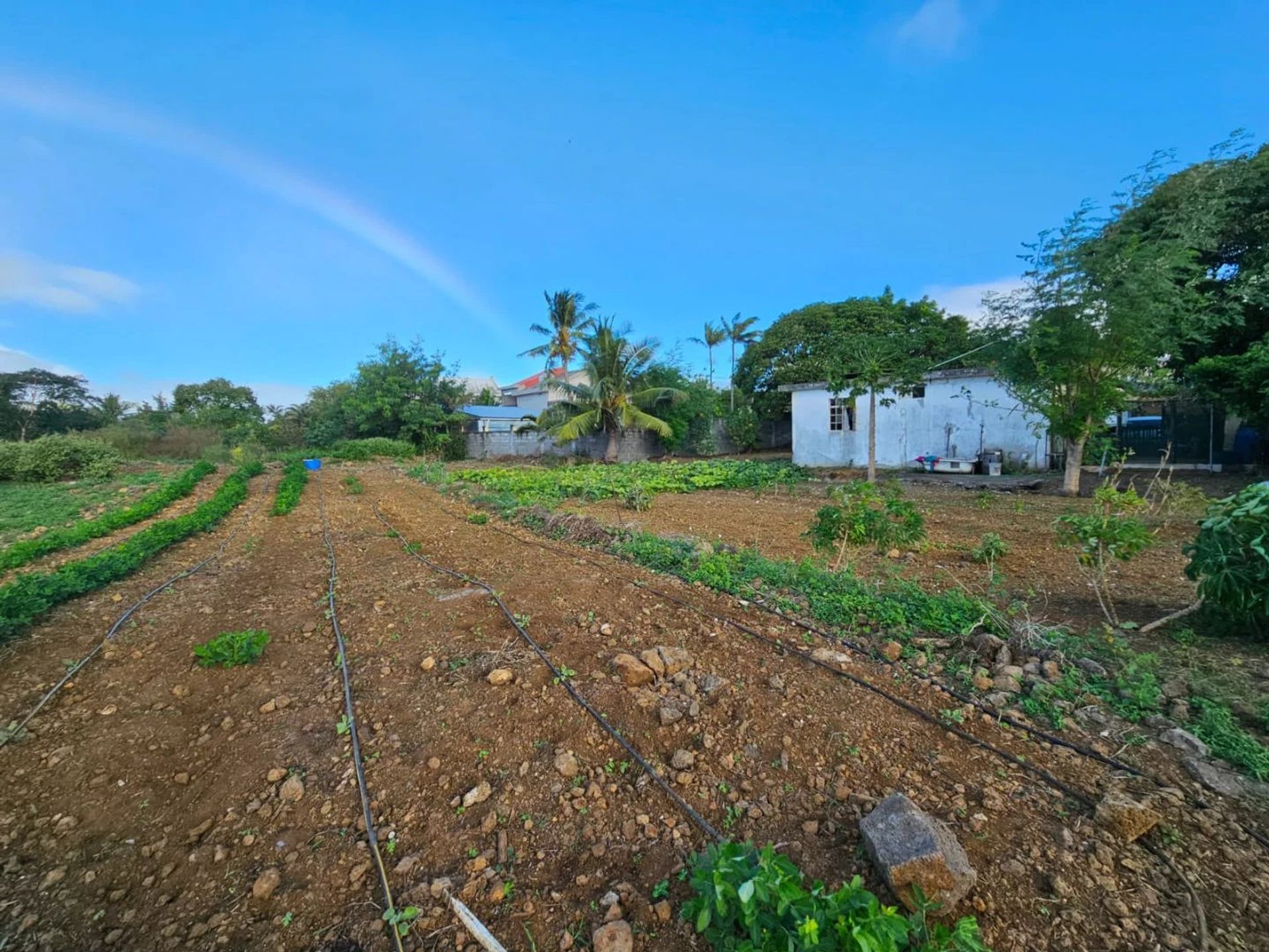 Terre dans Pereybere, Riviere du Rempart 12734816