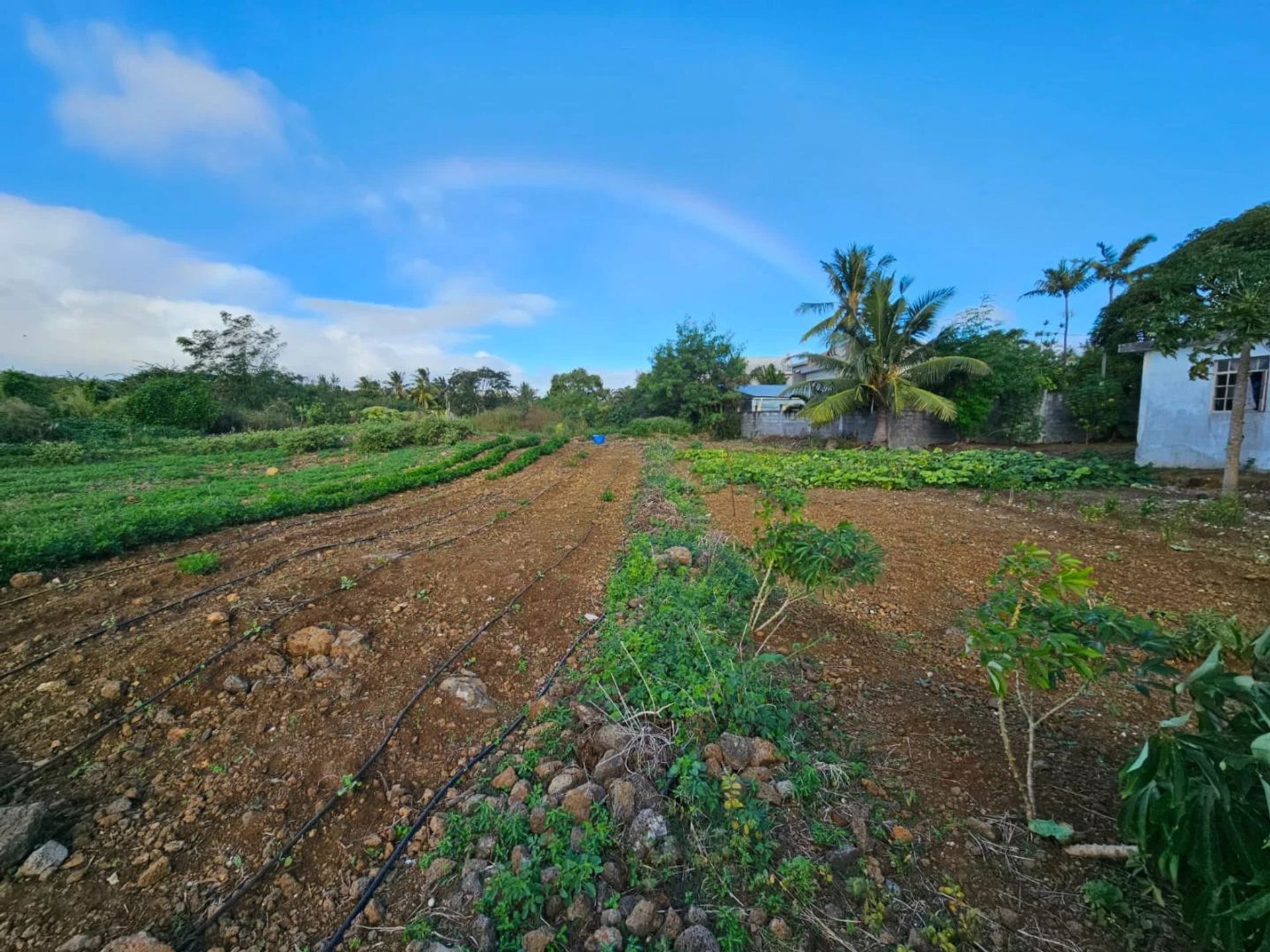 Tanah dalam Pereybere, Riviere du Rempart 12734816