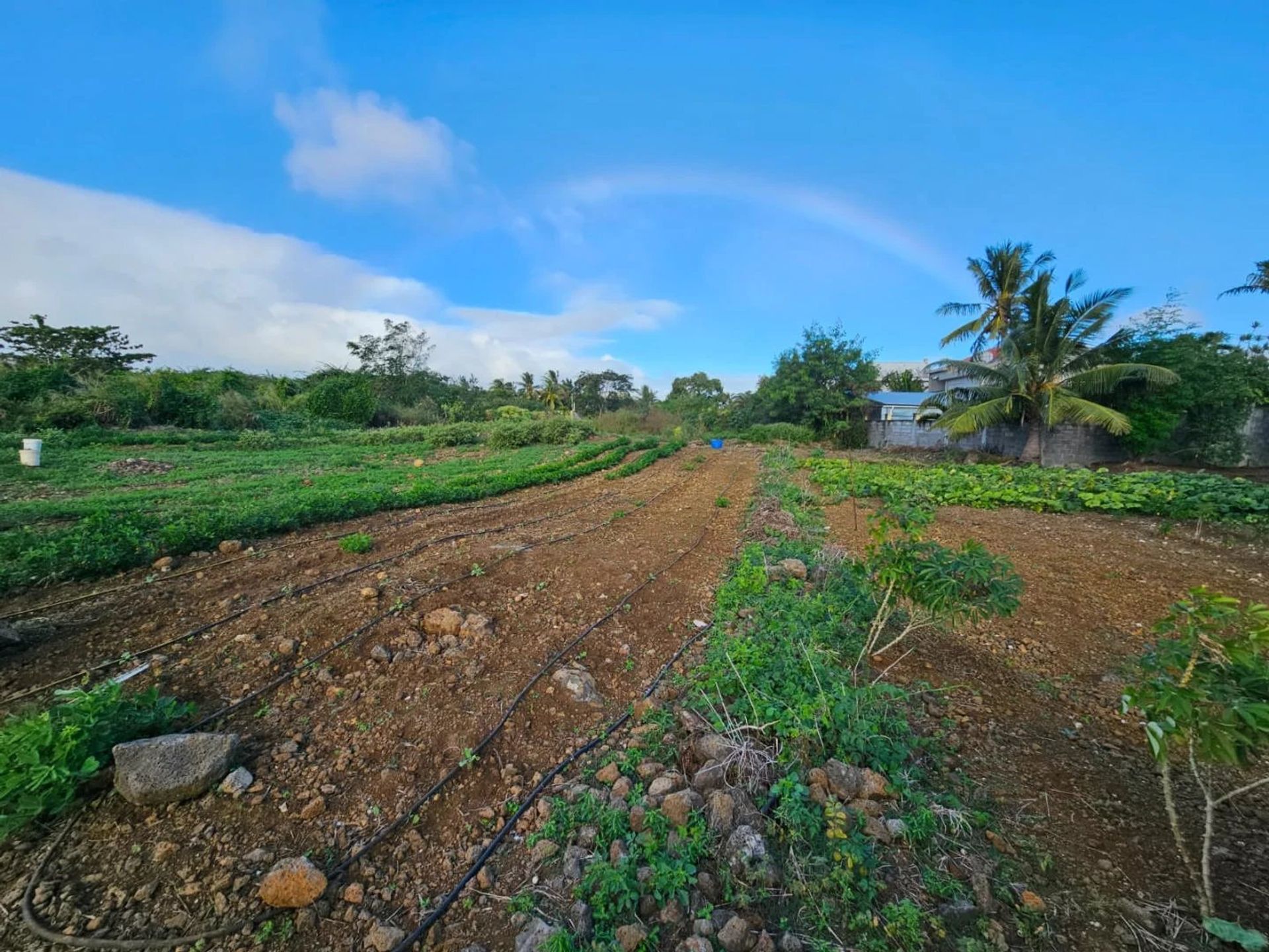 Tierra en Pereybere, Riviere du Rempart 12734816