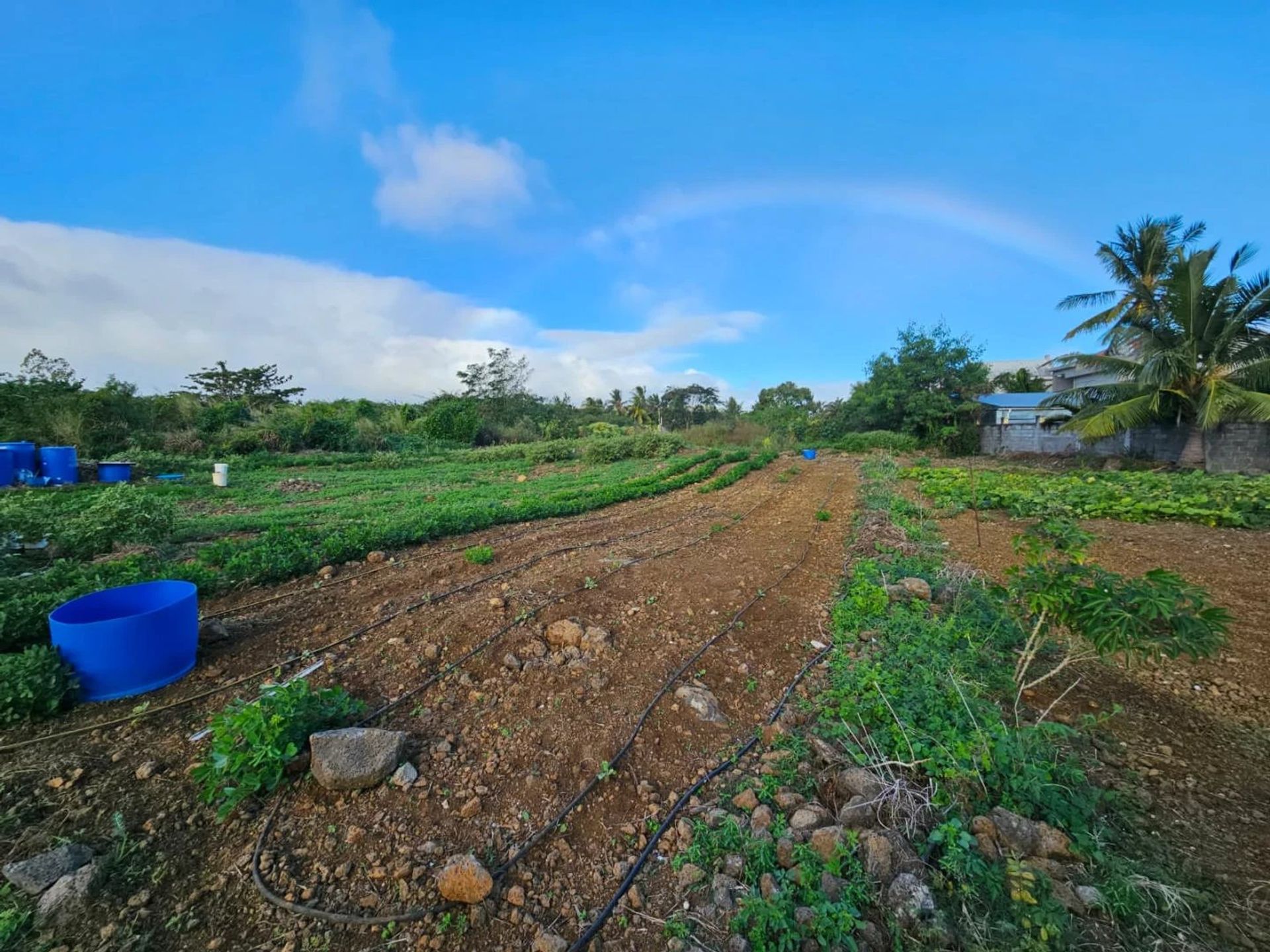 Tanah dalam Pereybere, Riviere du Rempart 12734816