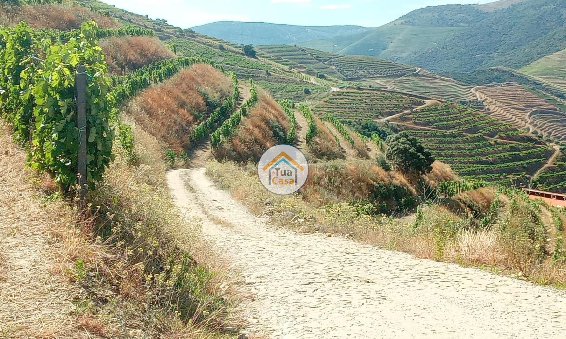 Tierra en Ervedosa do Douro, Viseu 12735124