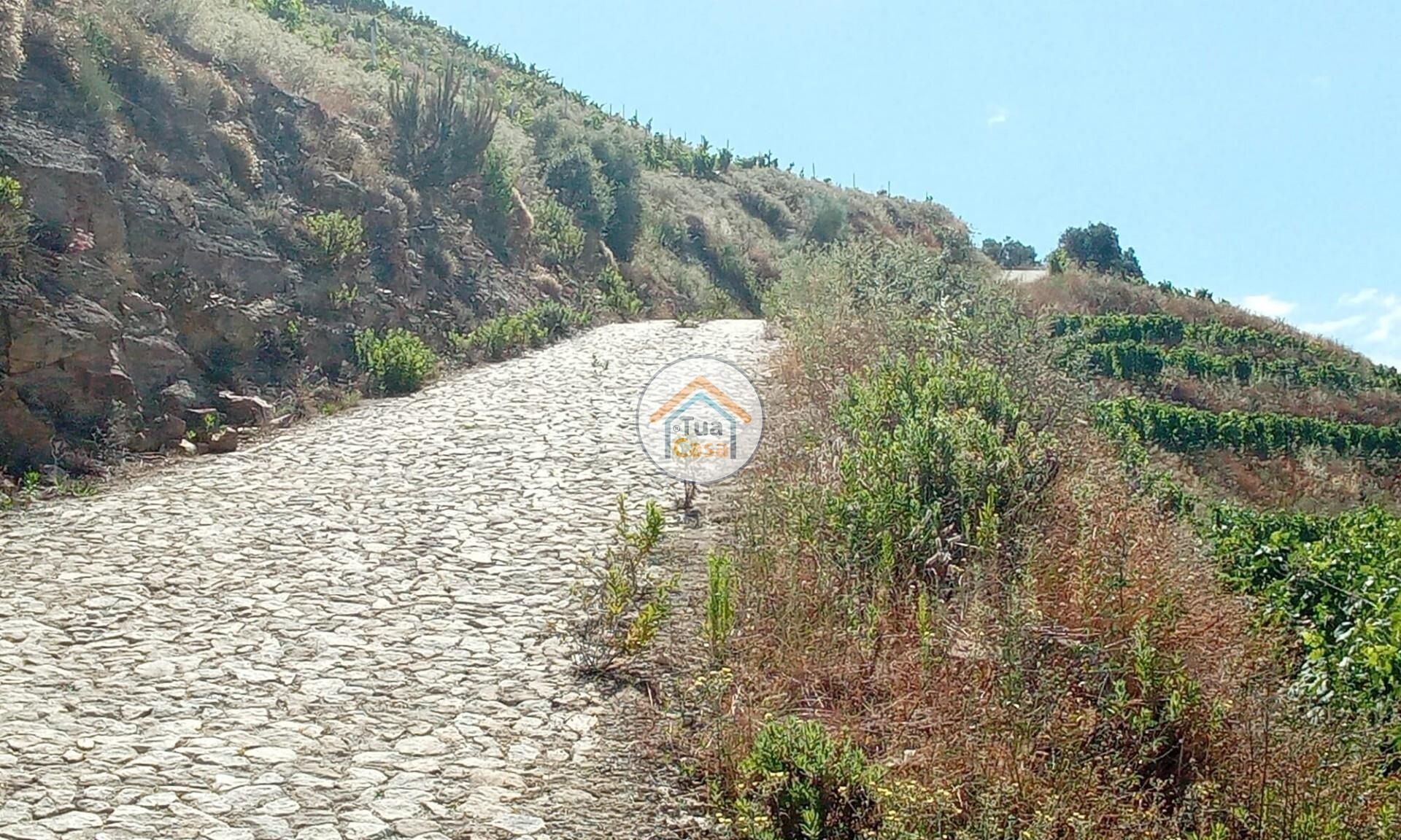 الأرض في Ervedosa do Douro, Viseu 12735124