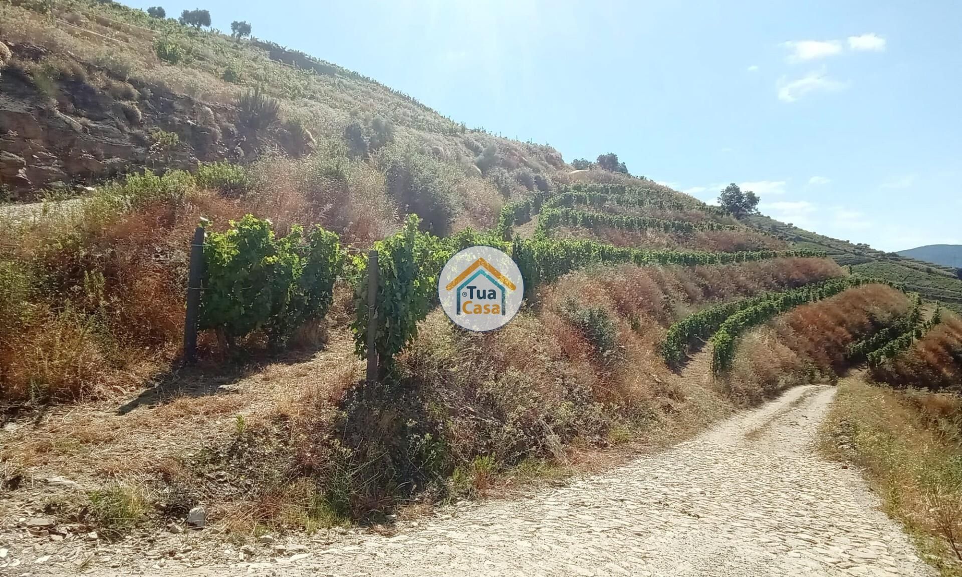 Земельные участки в Ervedosa do Douro, Viseu 12735124