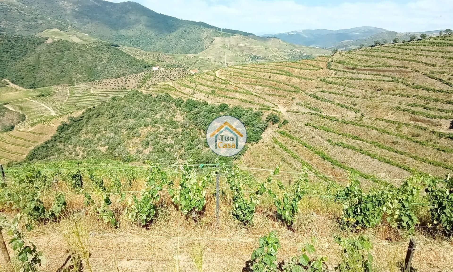 Tierra en Ervedosa do Douro, Viseu 12735124