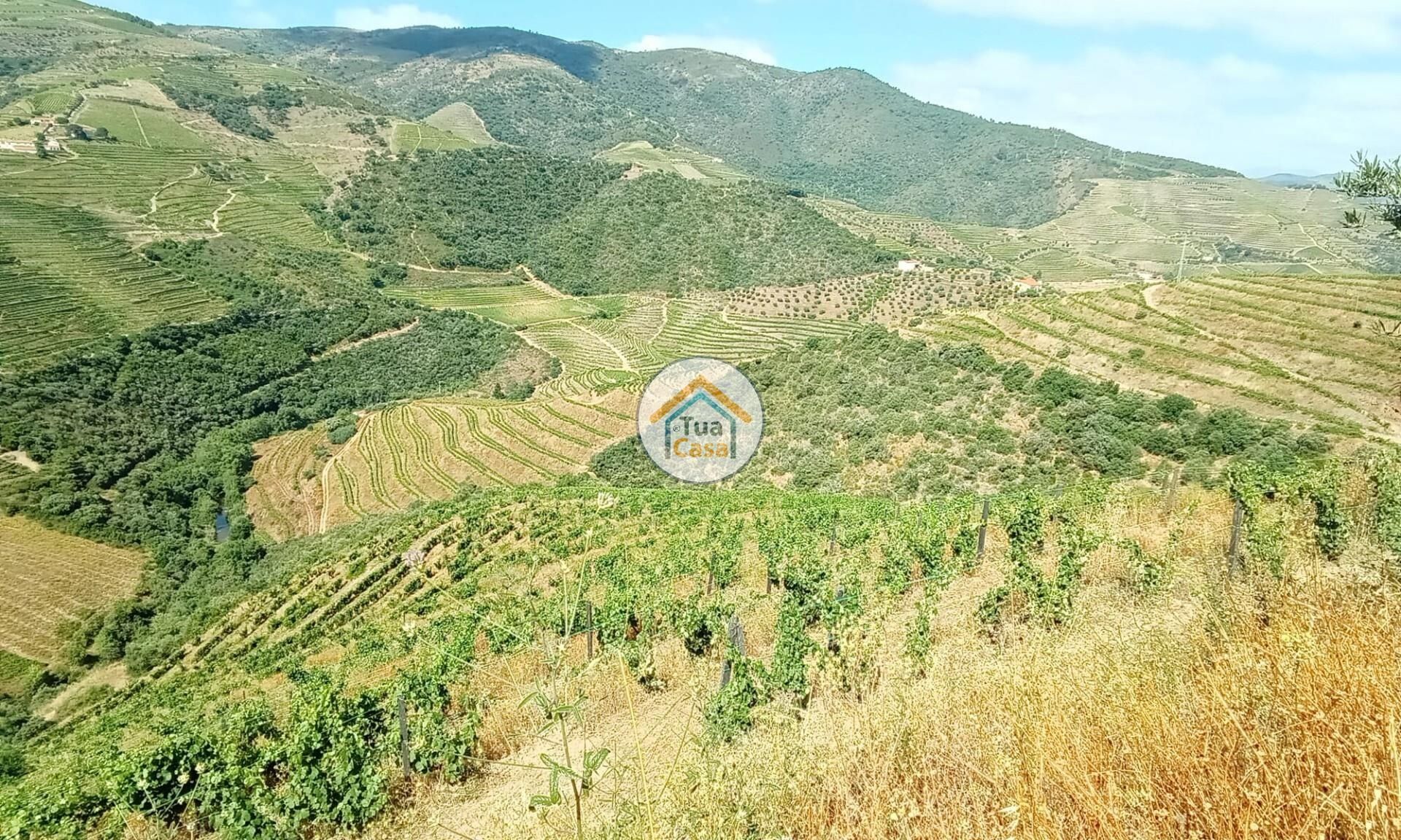 Tanah dalam Ervedosa do Douro, Viseu 12735124