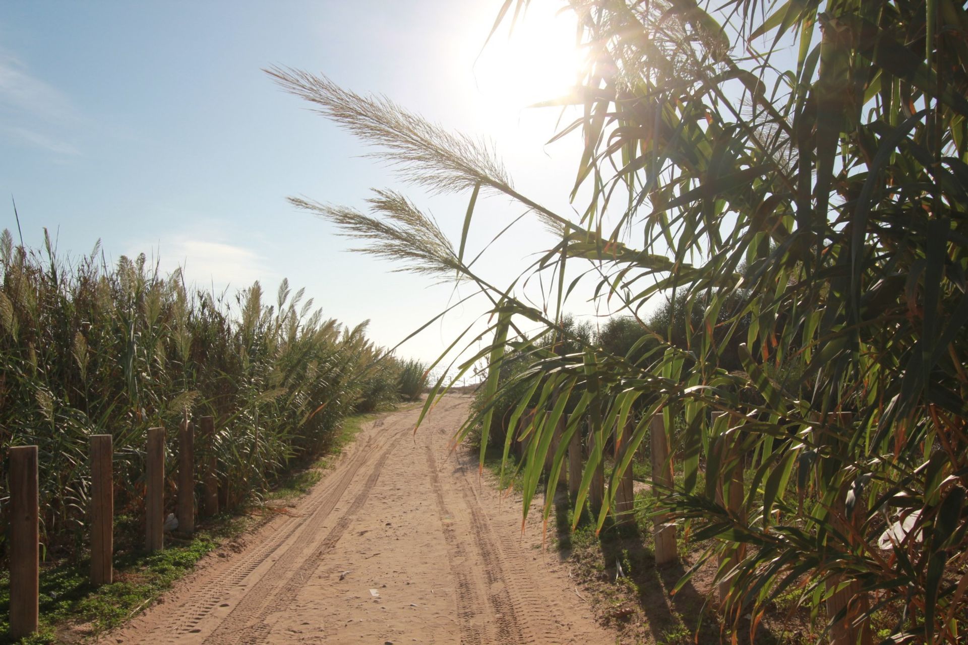 Talo sisään San Pedro del Pinatar, Región de Murcia 12735805