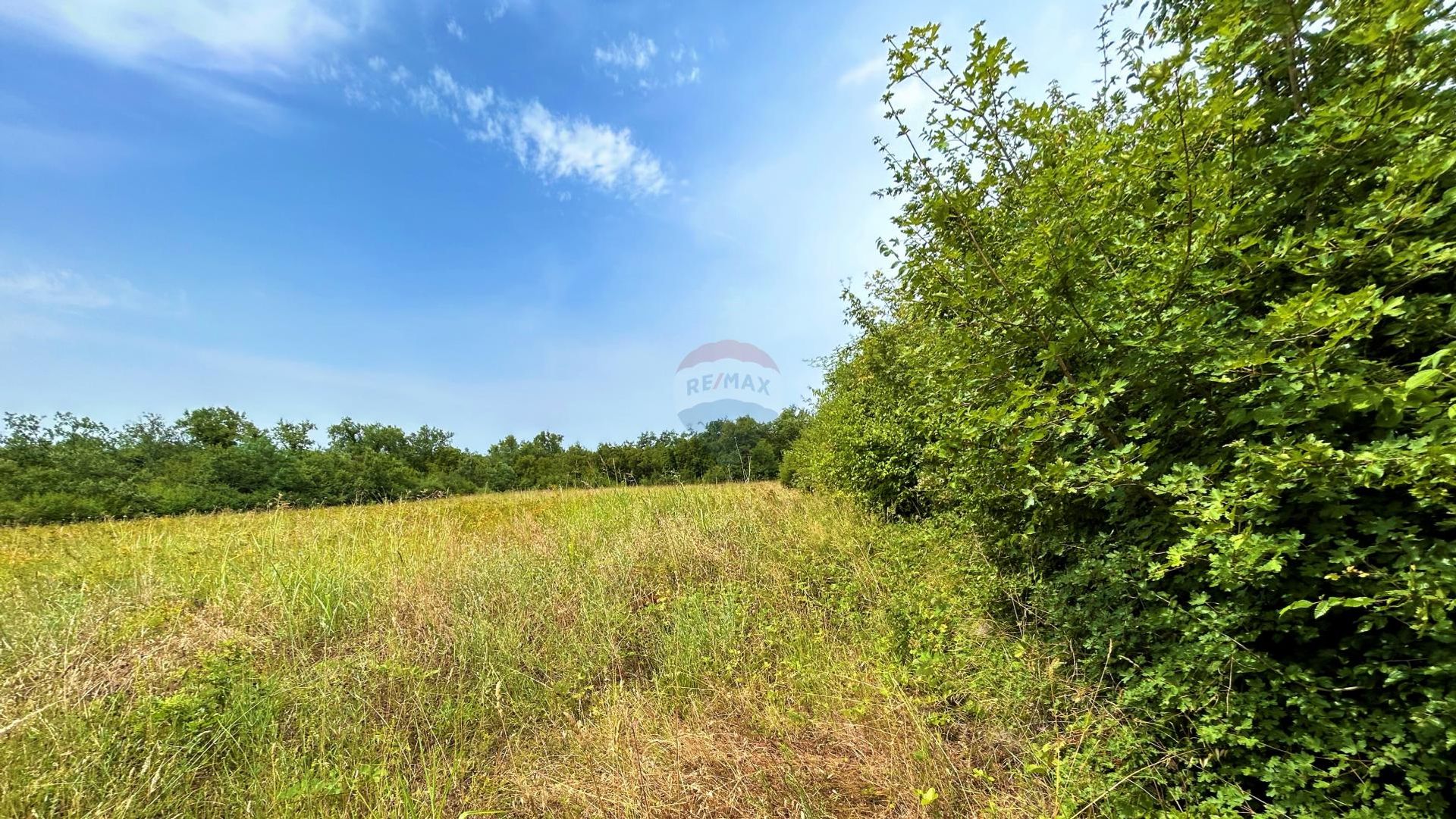 Terre dans Cepljani, Istarska Zupanija 12737050