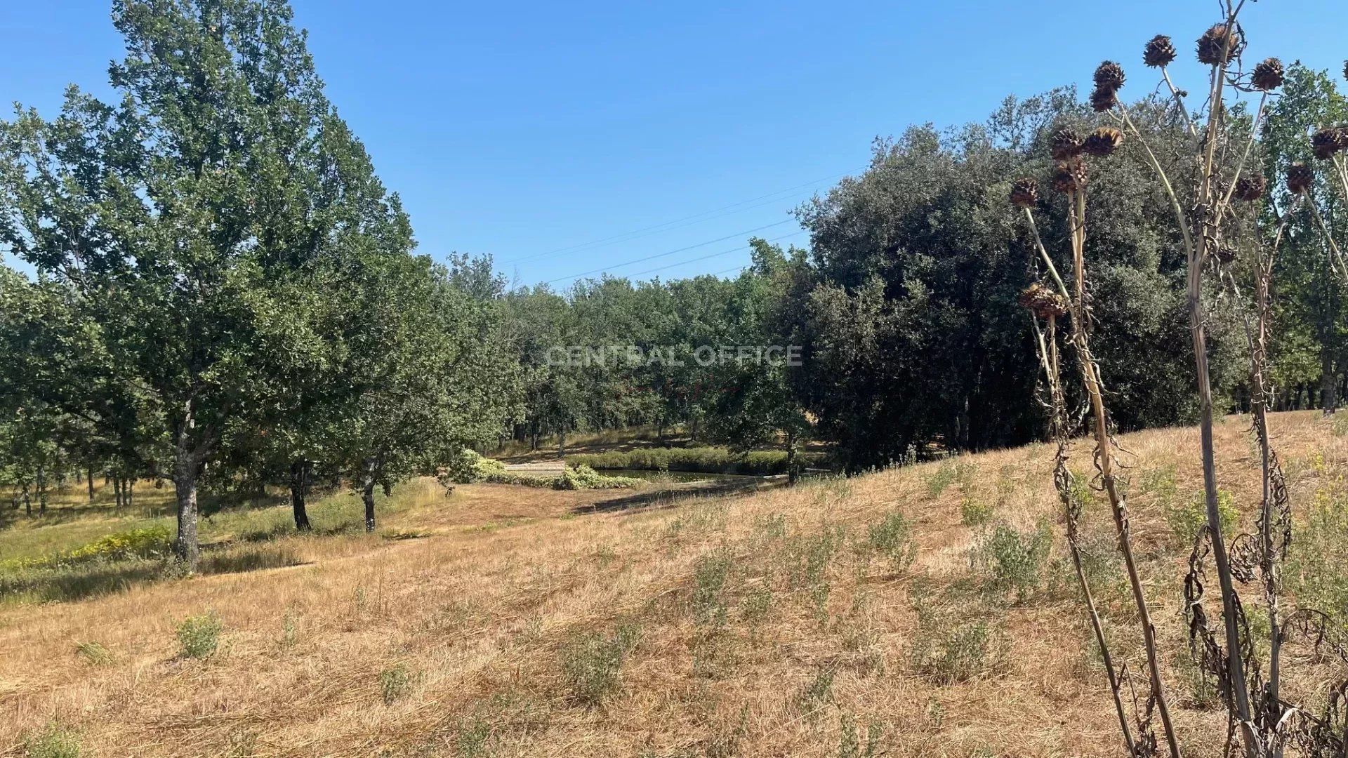 rumah dalam Bagnols-en-Forêt, Var 12739564