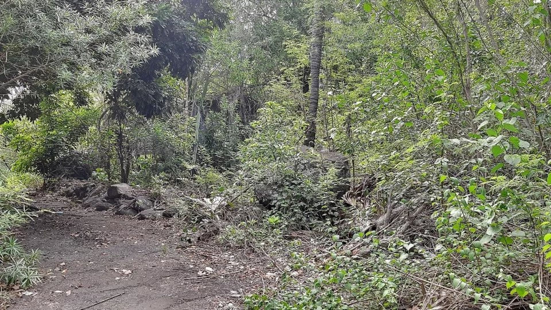 土地 在 拉芬山, 黑河 12741461