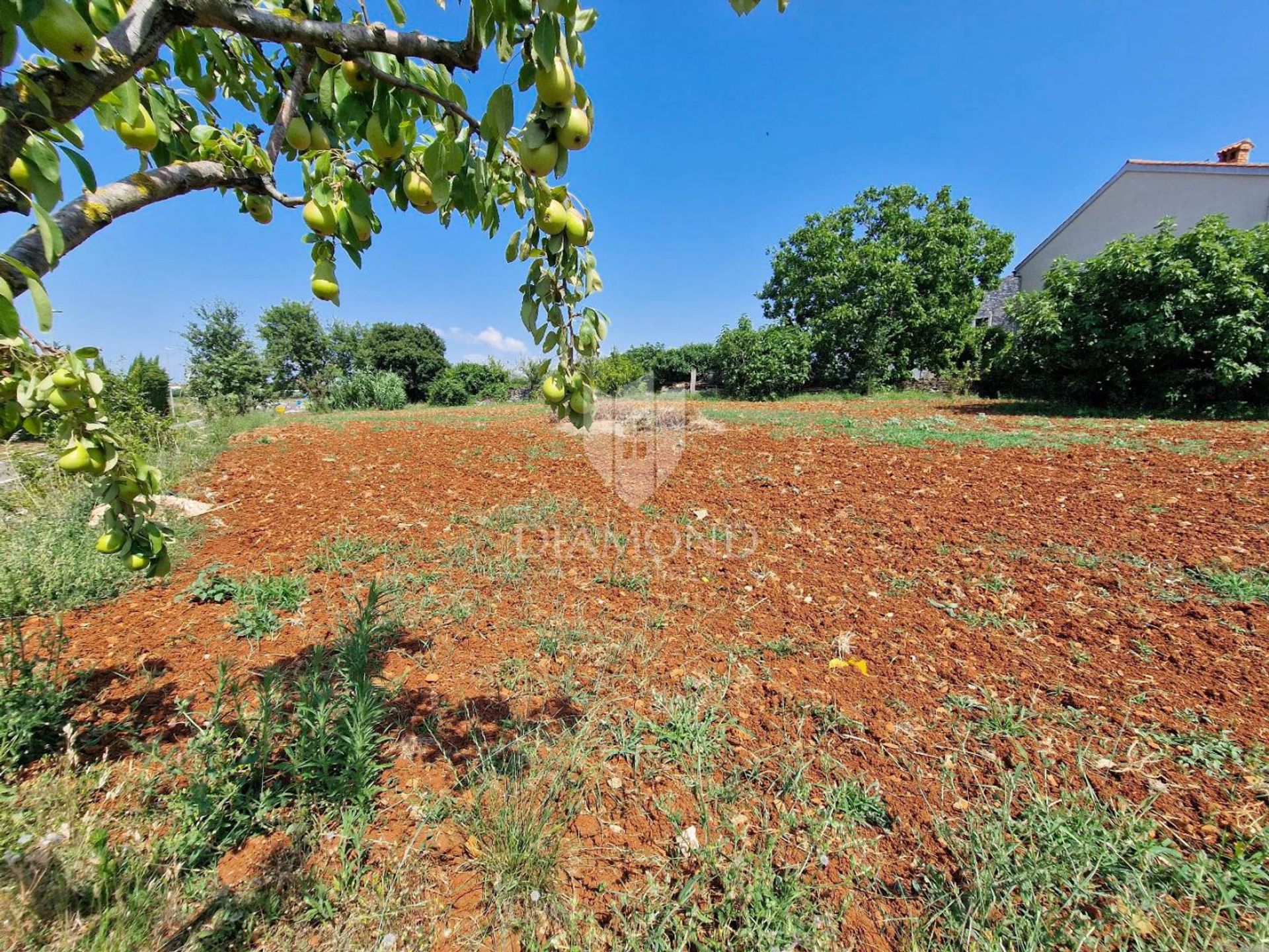 Land in Novigrad, Istarska Zupanija 12741677