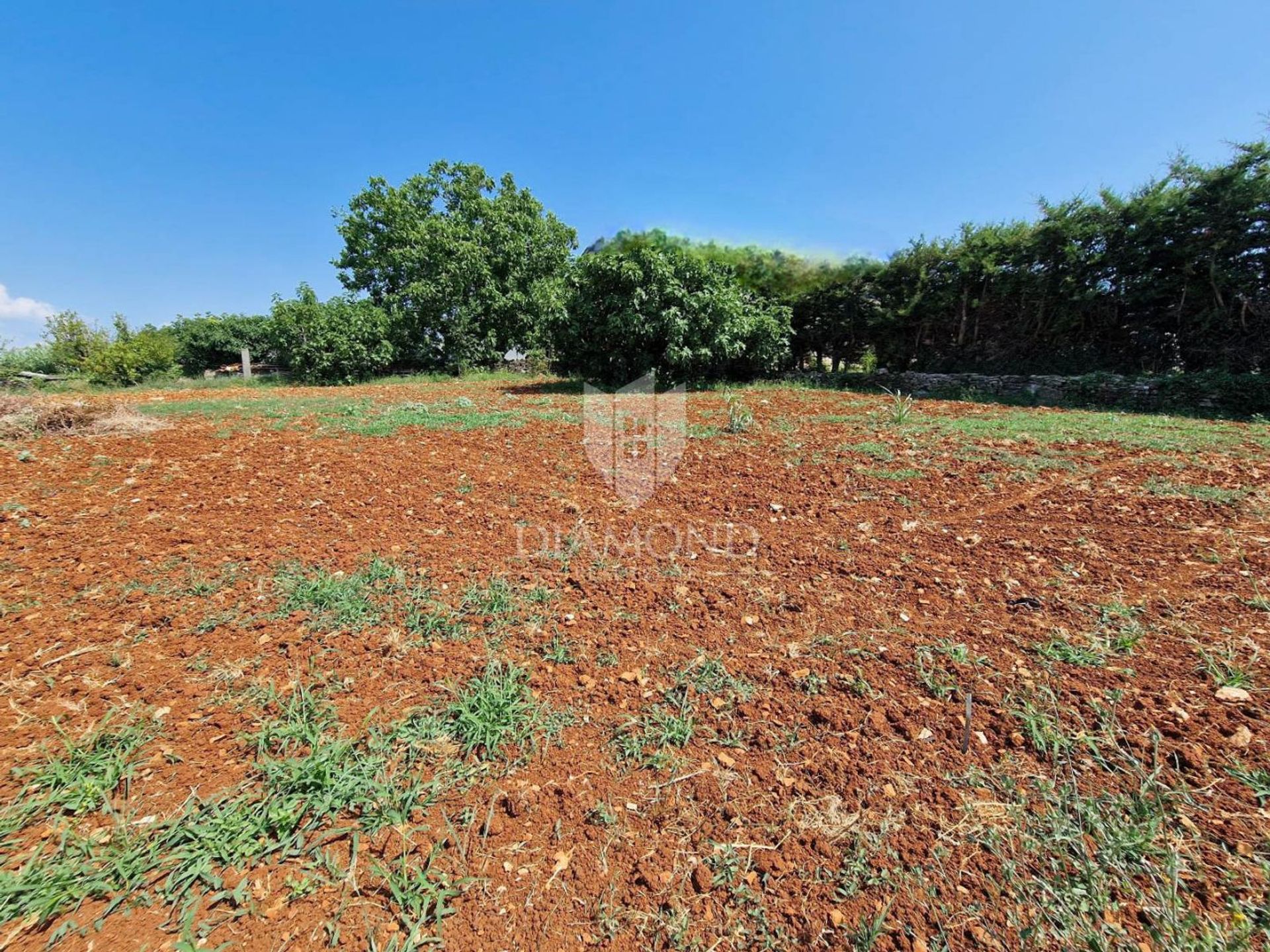 Land in Novigrad, Istarska Zupanija 12741677