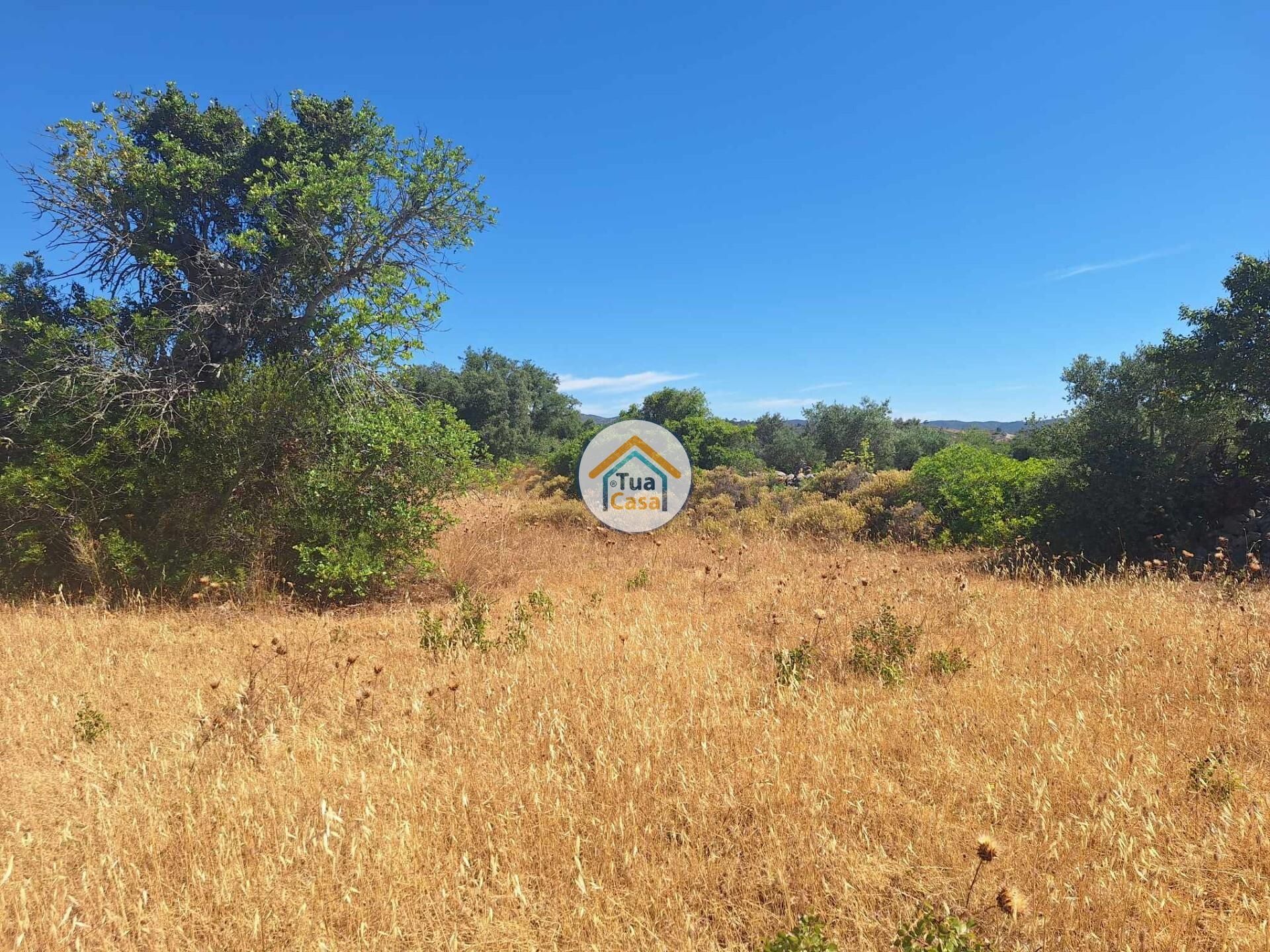 Land i São Brás de Alportel, Faro District 12742113