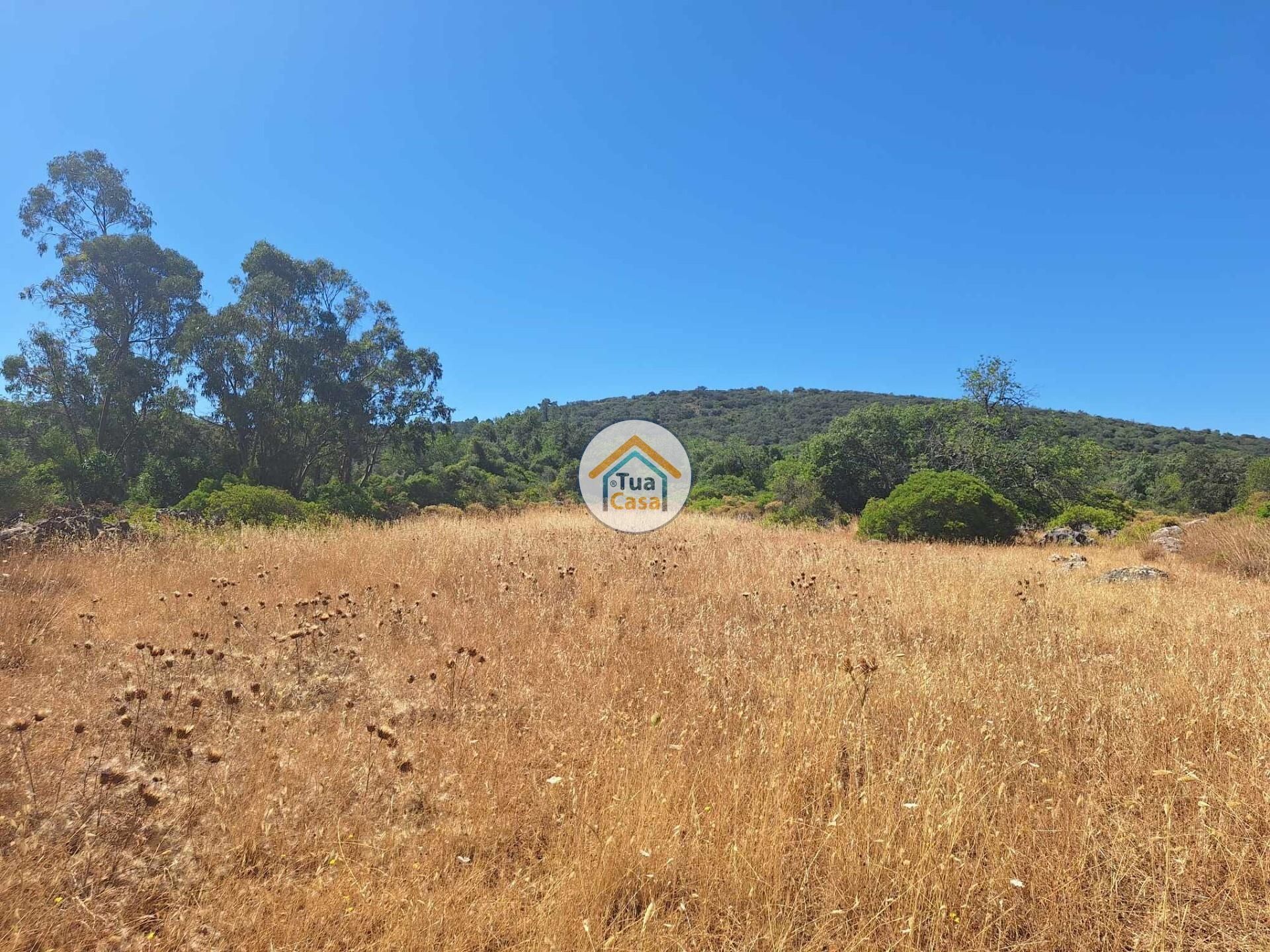 Jord i São Brás de Alportel, Faro District 12742113