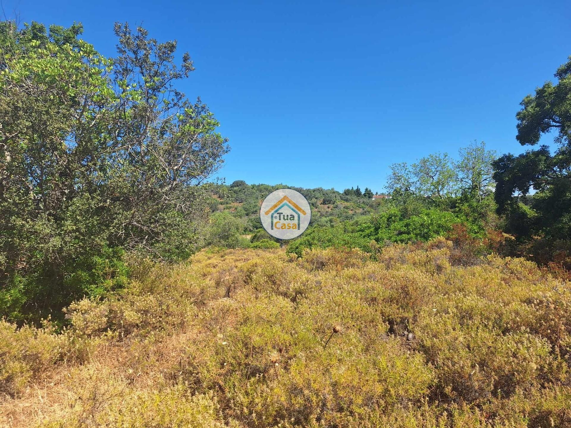 Land i São Brás de Alportel, Faro District 12742113