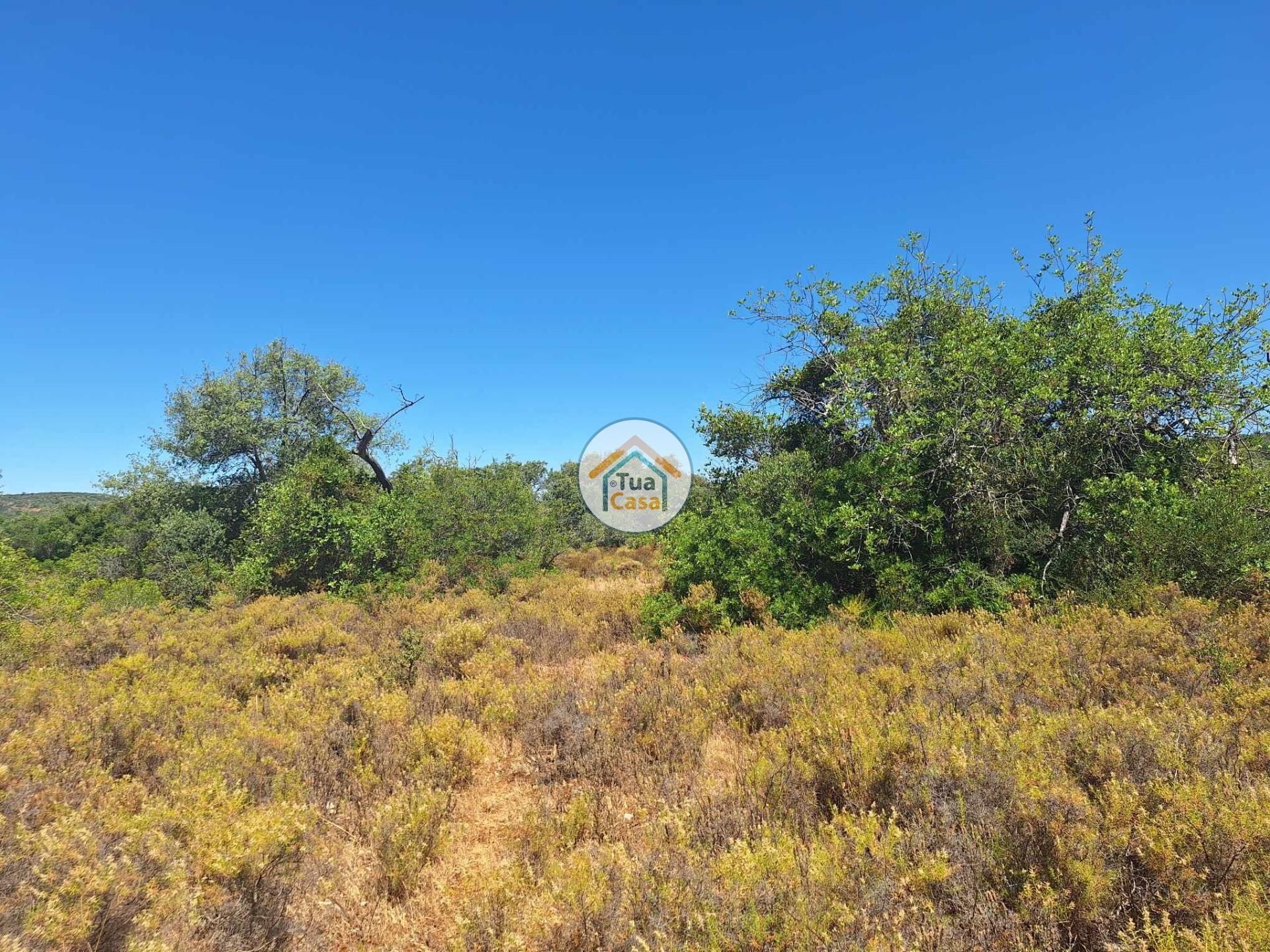 Land in São Brás de Alportel, Faro District 12742114