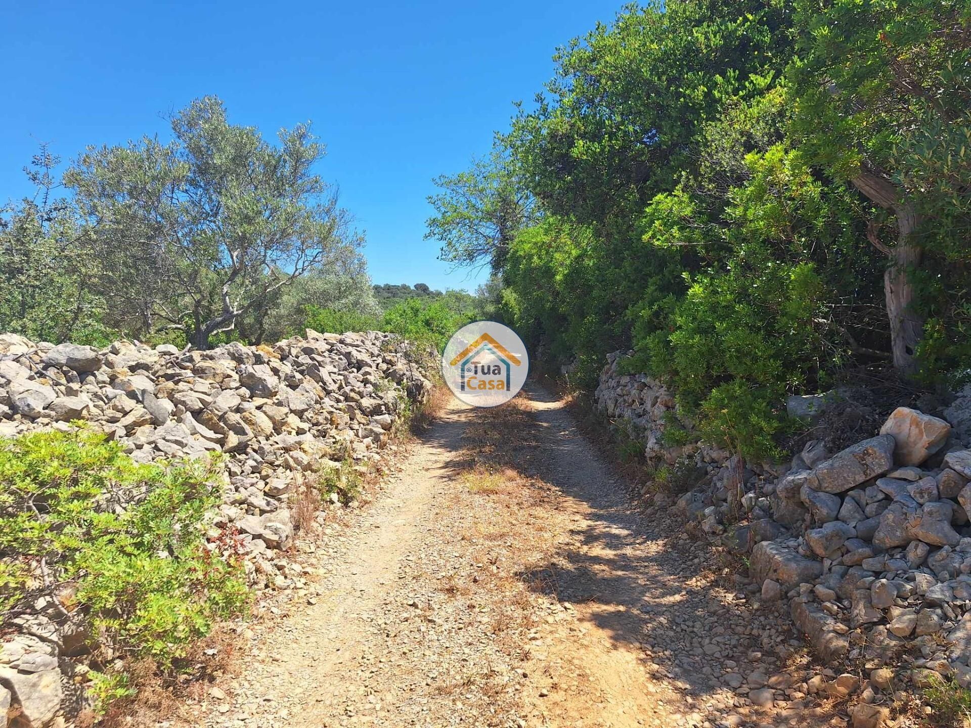 土地 在 São Brás de Alportel, Faro District 12742114