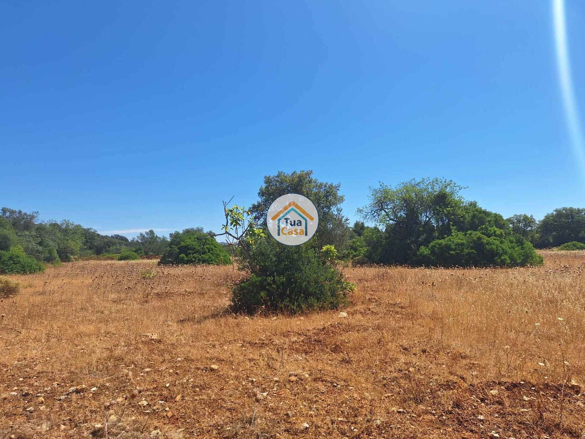 Sbarcare nel São Brás de Alportel, Faro District 12742114