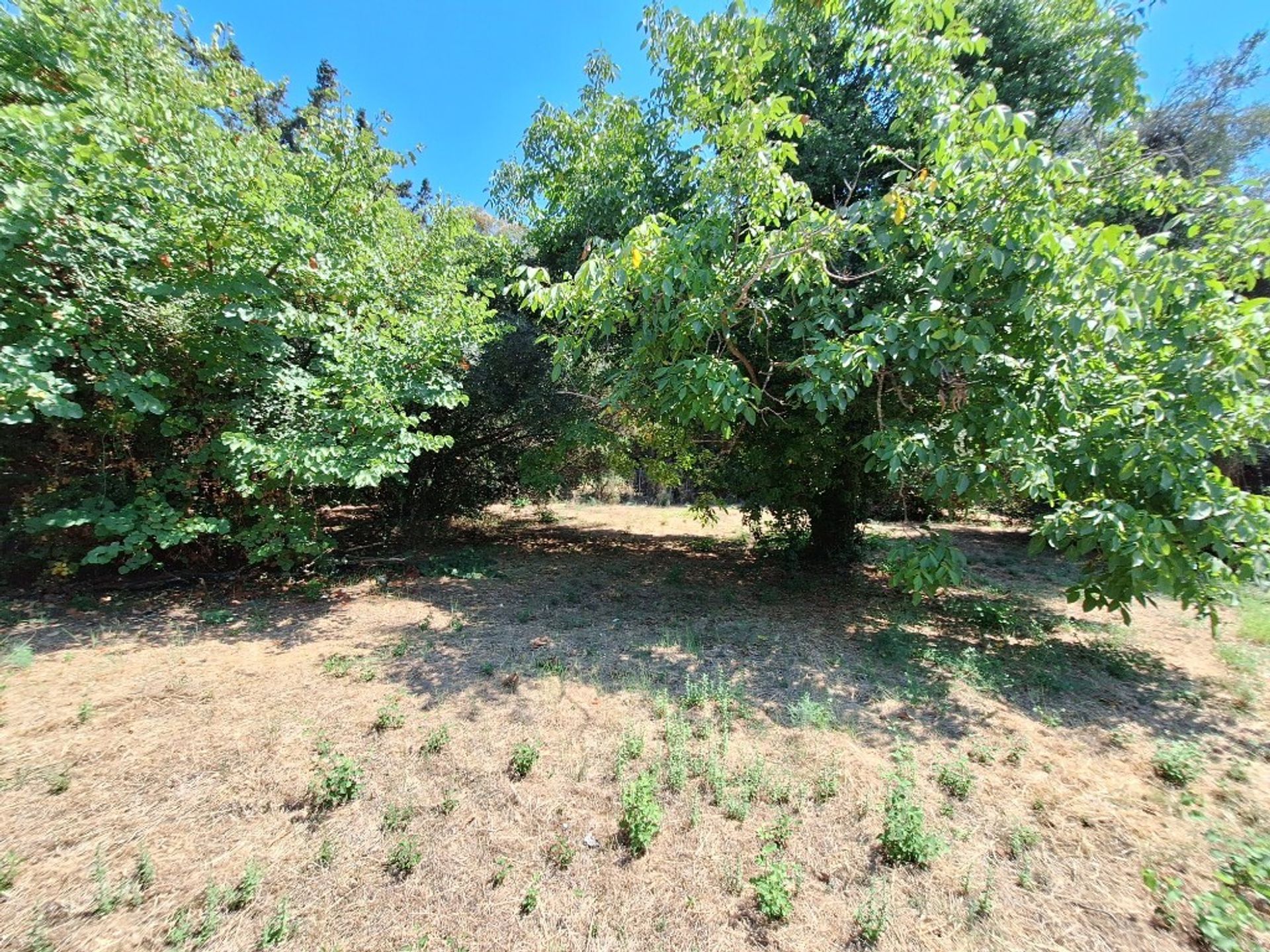 Land in Acharavi, Ionia Nisia 12743433