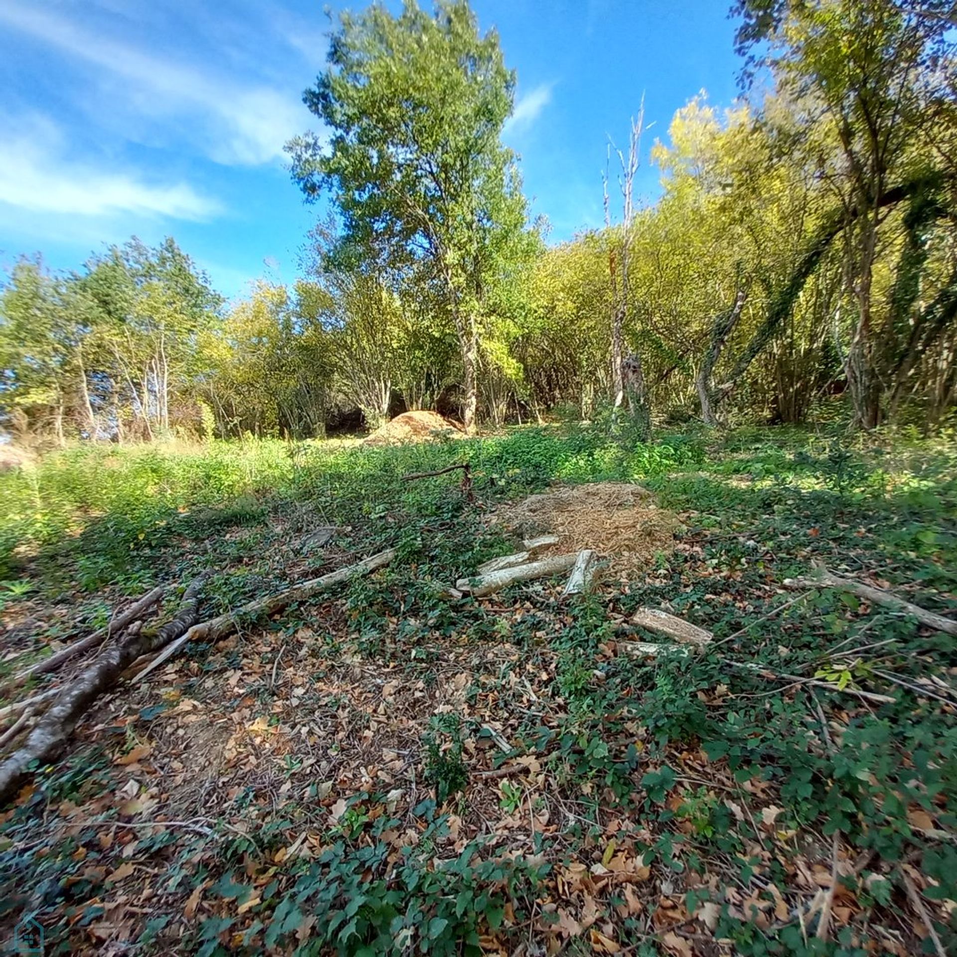 Komersial di Thiers, Auvergne-Rhône-Alpes 12746421