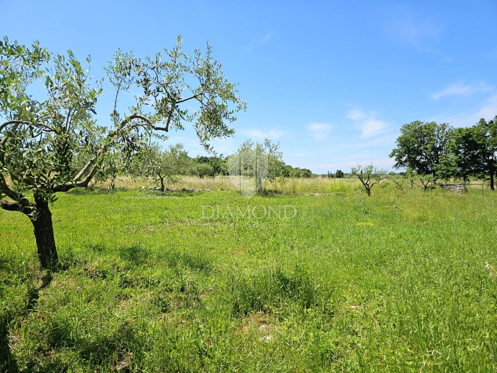 Terre dans Poreč, Istria County 12749755