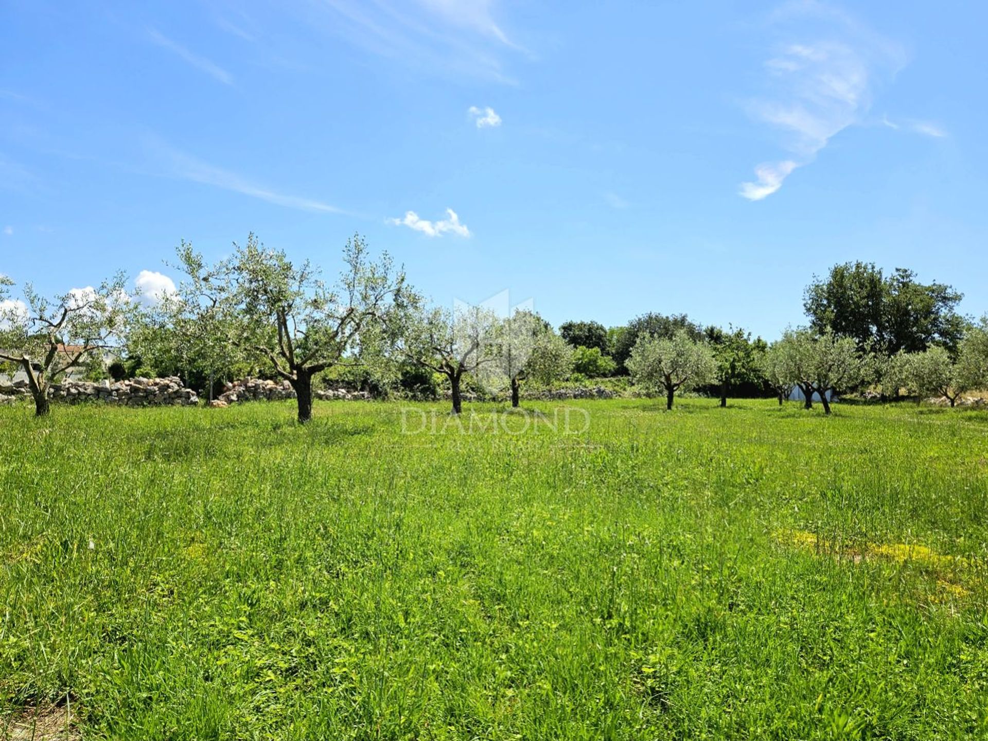 Γη σε Poreč, Istria County 12749755