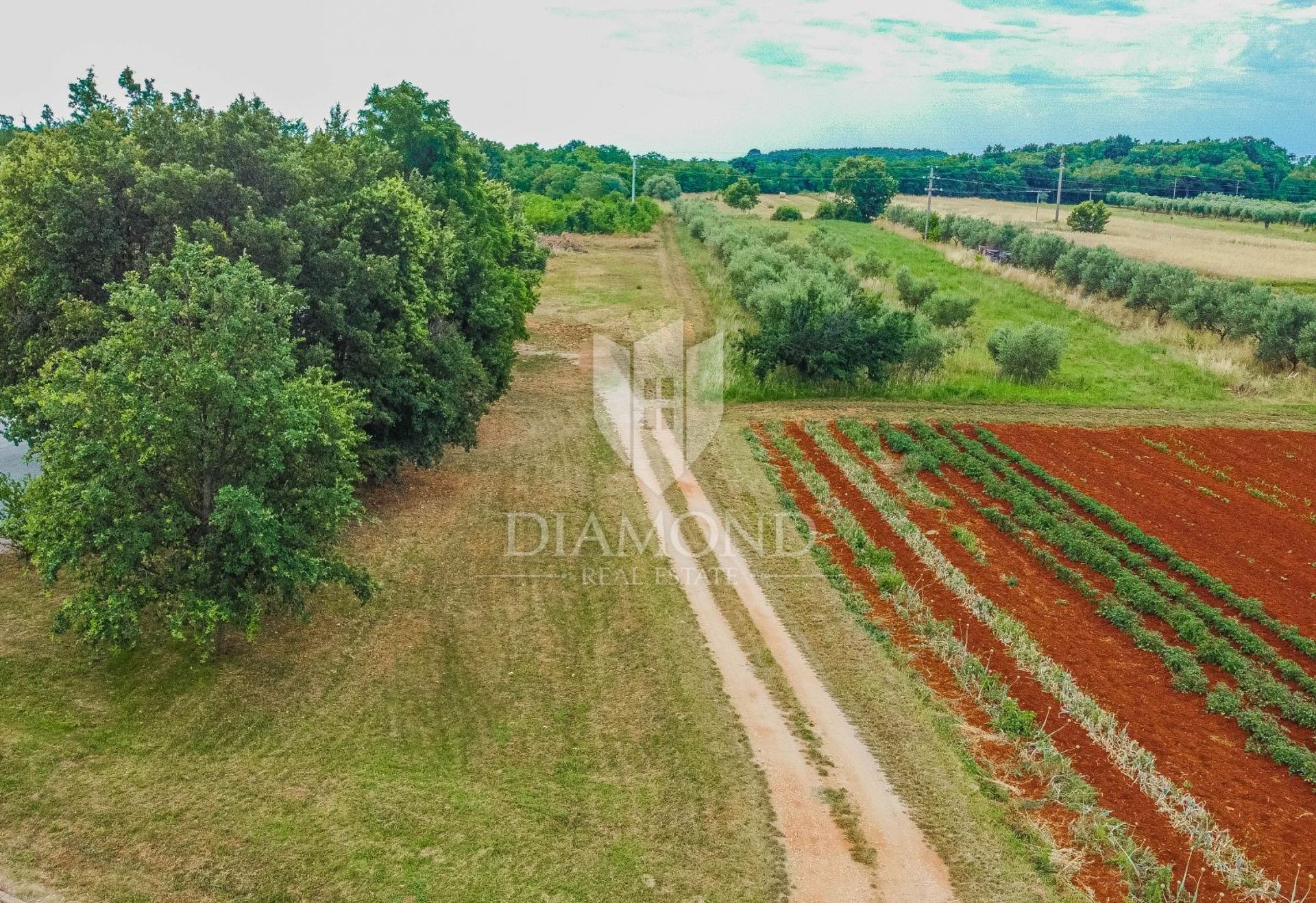 Tanah dalam Umag, Istarska Zupanija 12750077