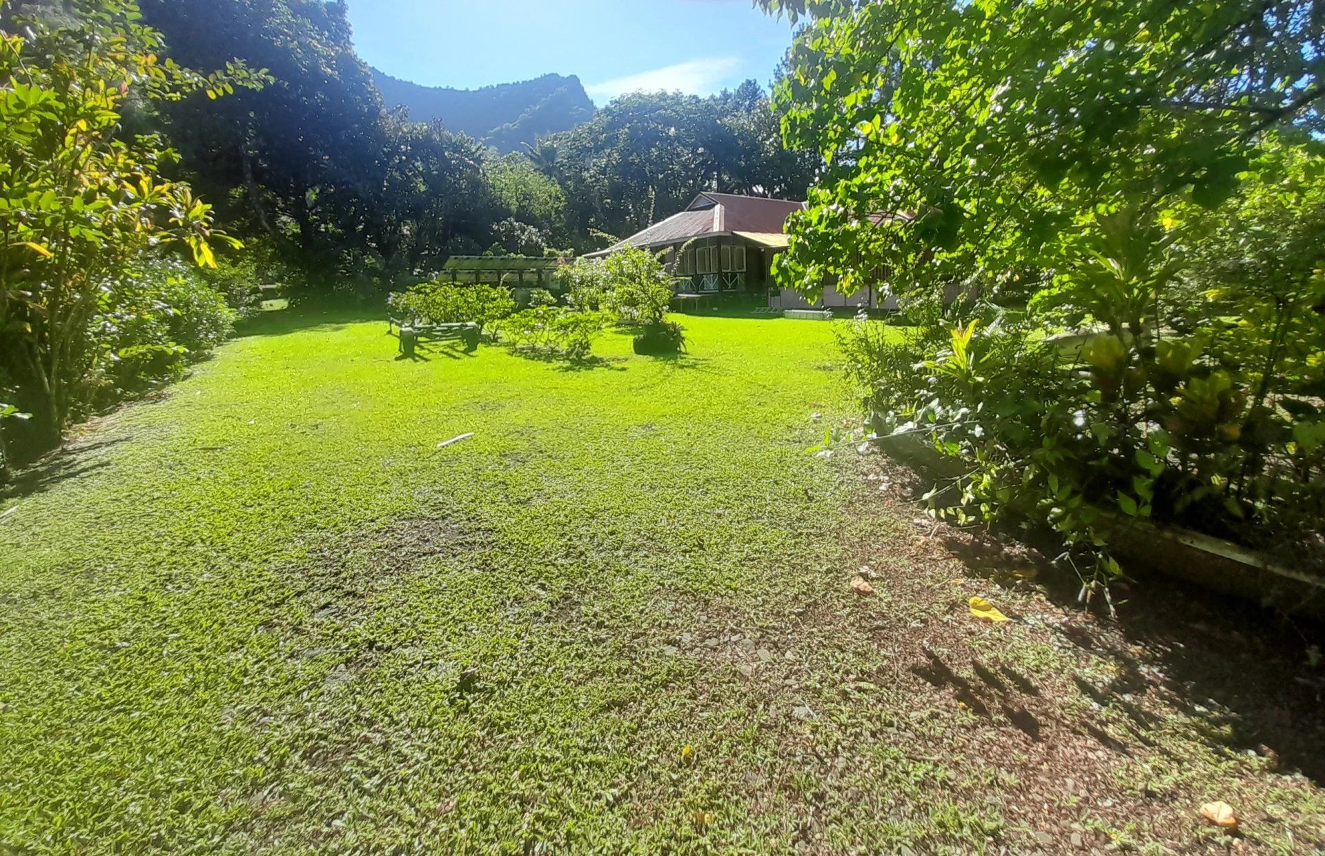 House in Teahupoo, Îles du Vent 12751700