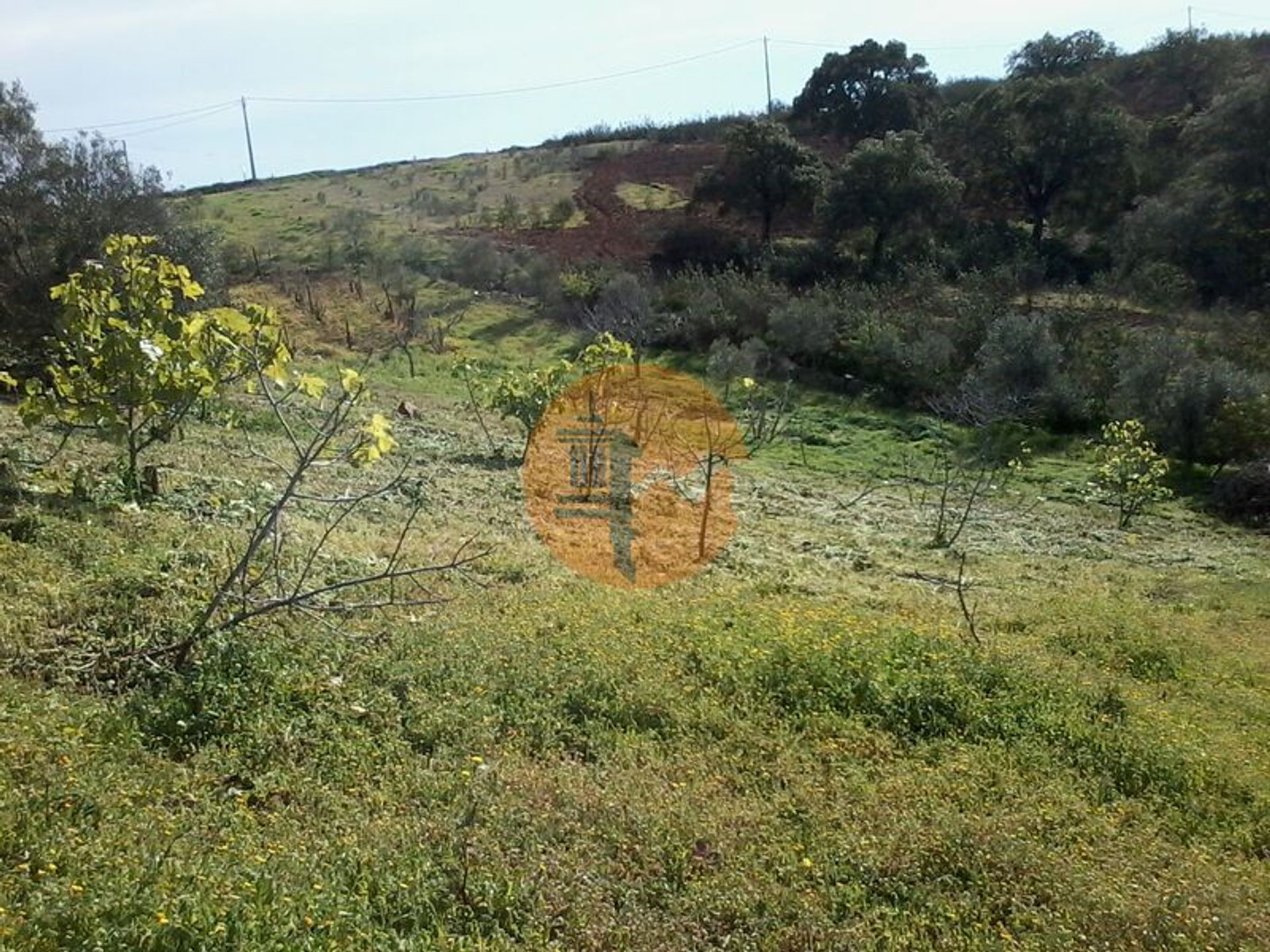 Land in Odeleite, Faro 12753101