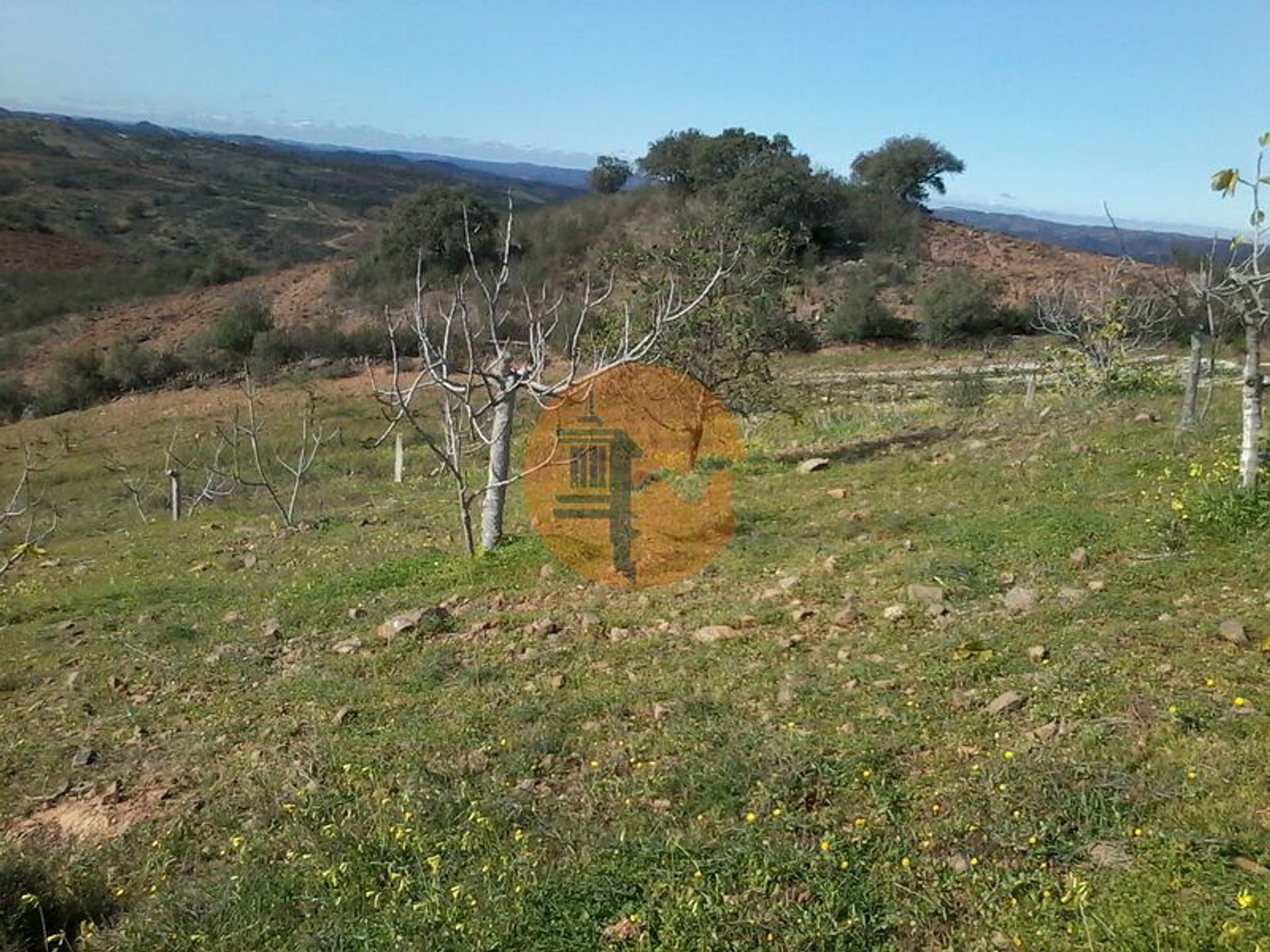 Land in Odeleite, Faro 12753101