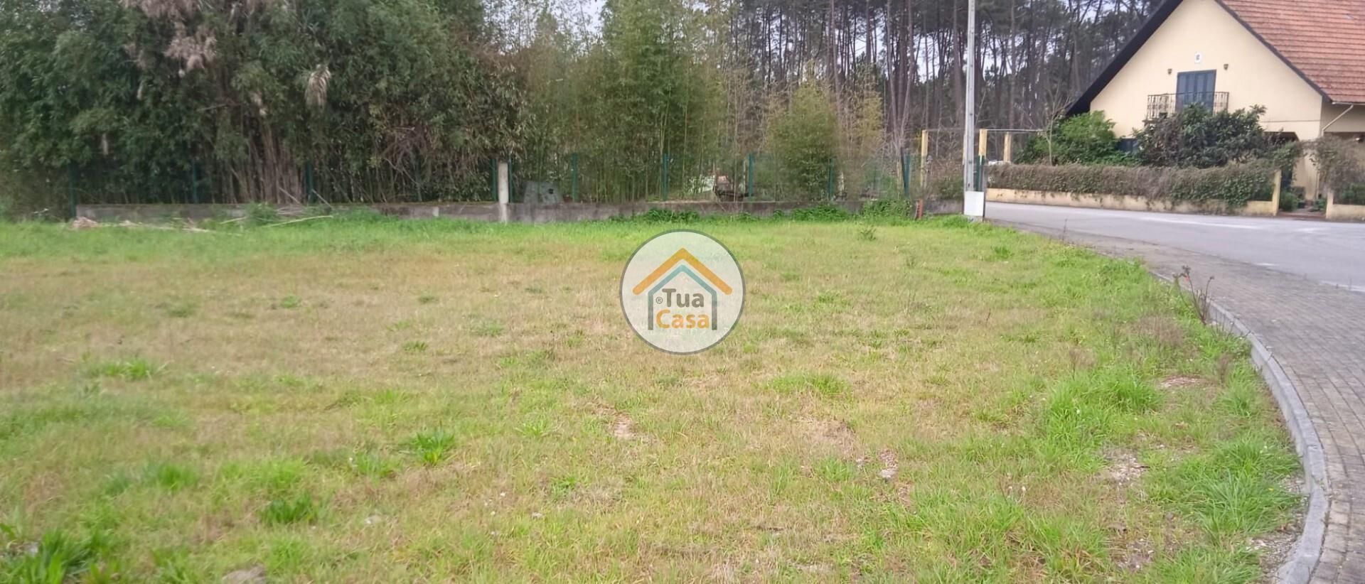 Land i , Aveiro District 12755044