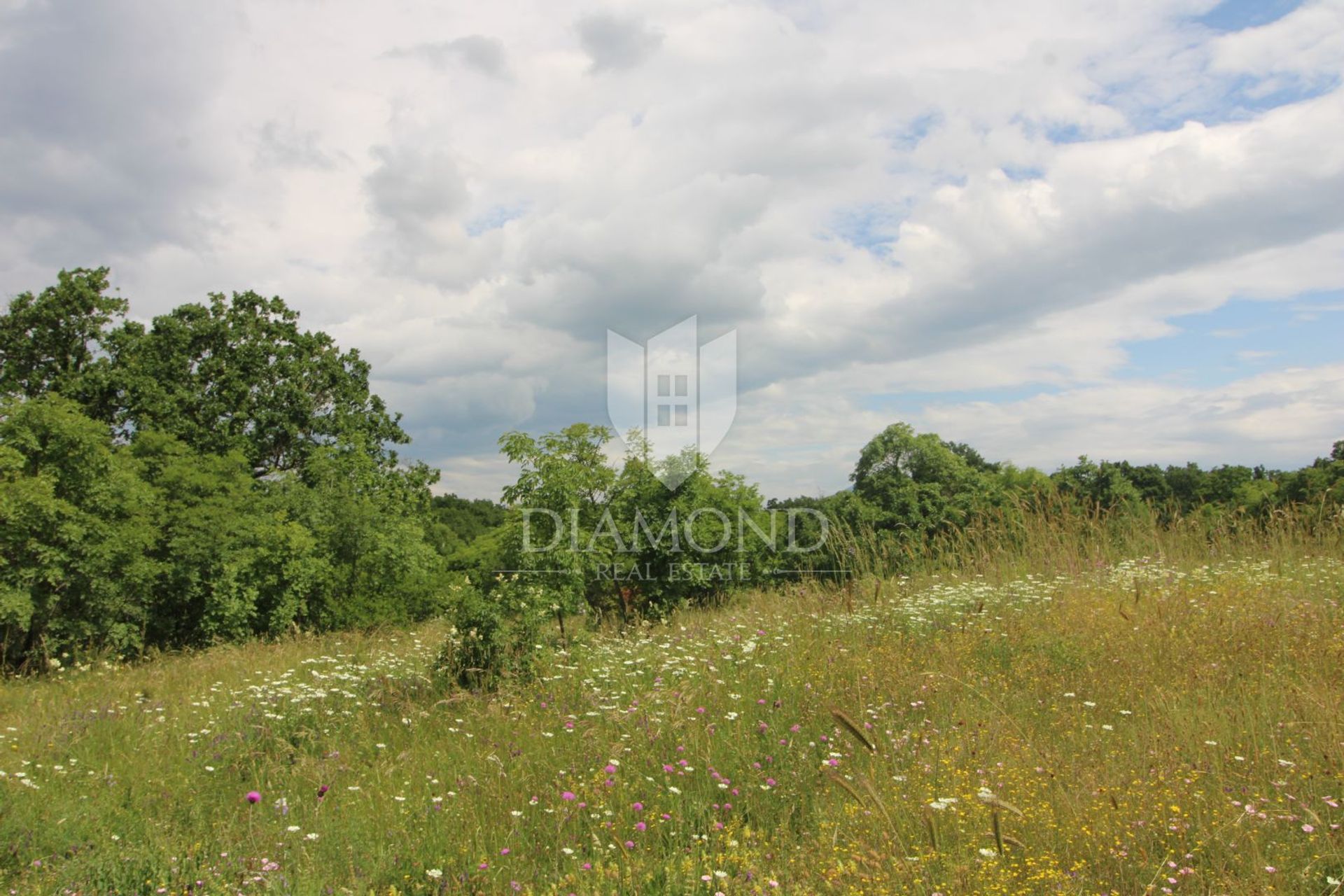 Terra no Labin, Istria County 12757211