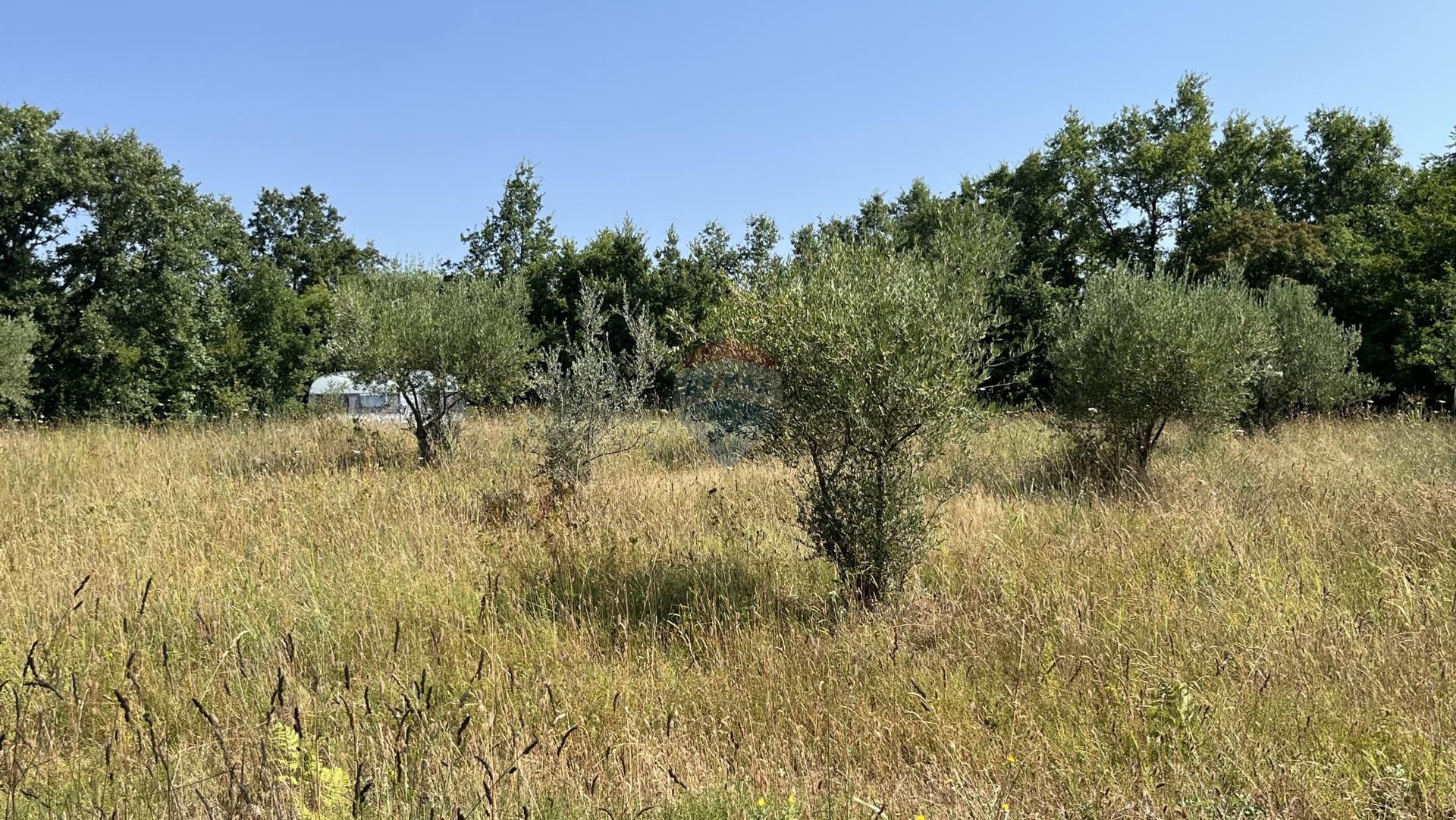 Земля в Святий Ловреч Пазенацький, Істарська жупанія 12758589