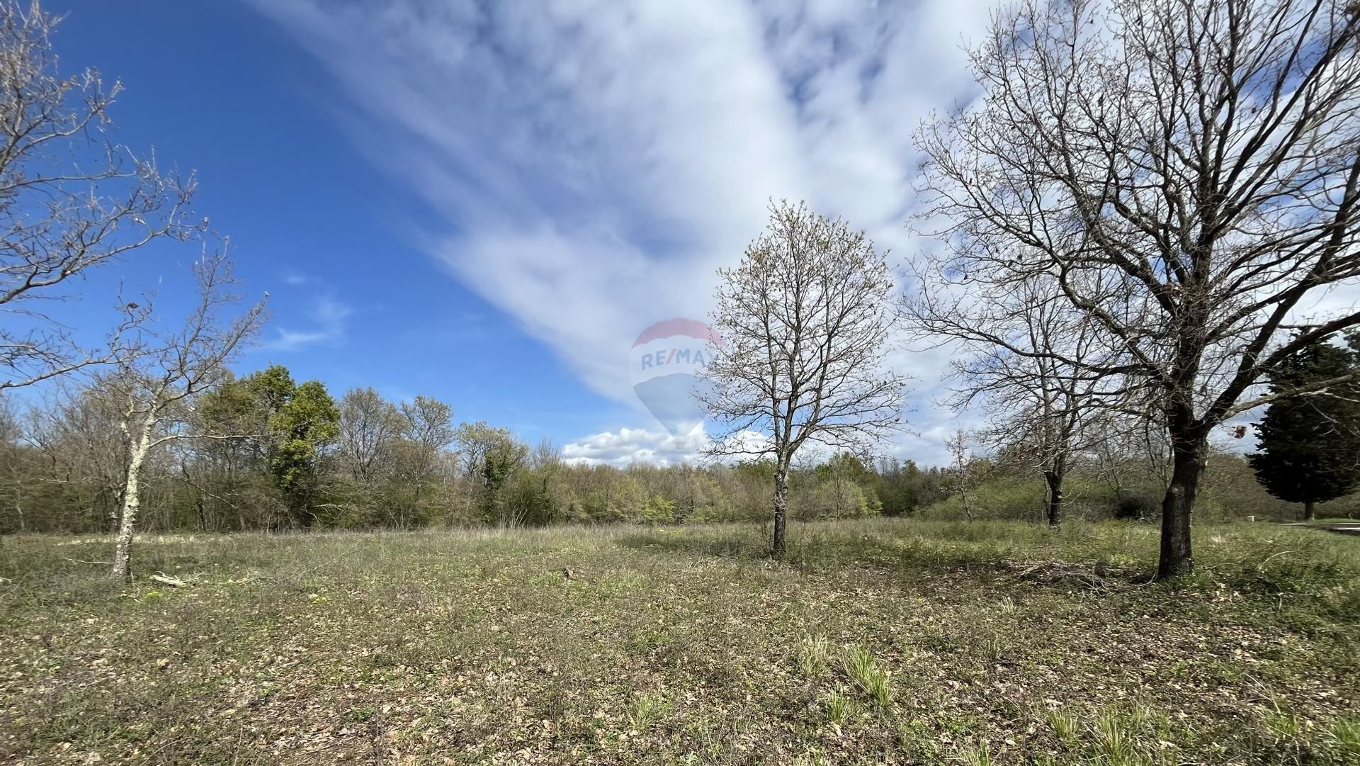 Land im Sveti Lovrec Pazenaticki, Istarska Zupanija 12758622