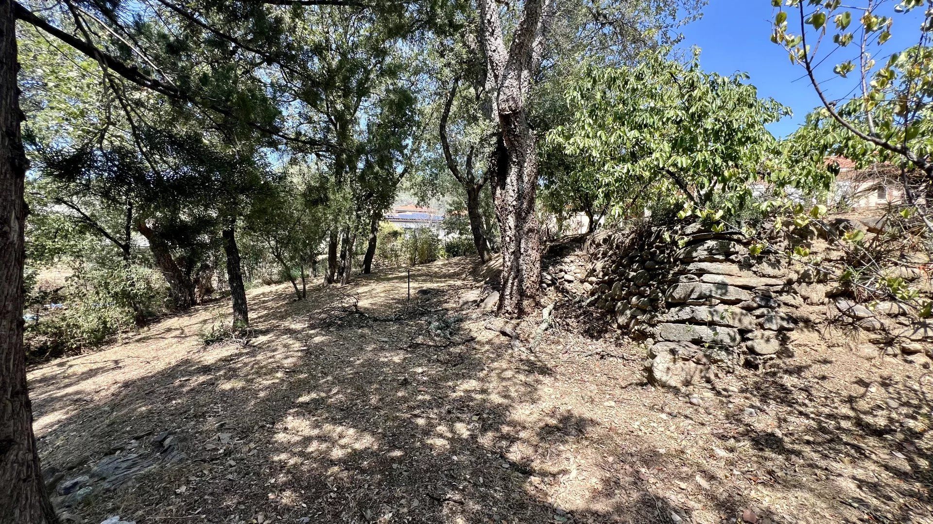 Casa nel Reynès, Pyrénées-Orientales 12758779